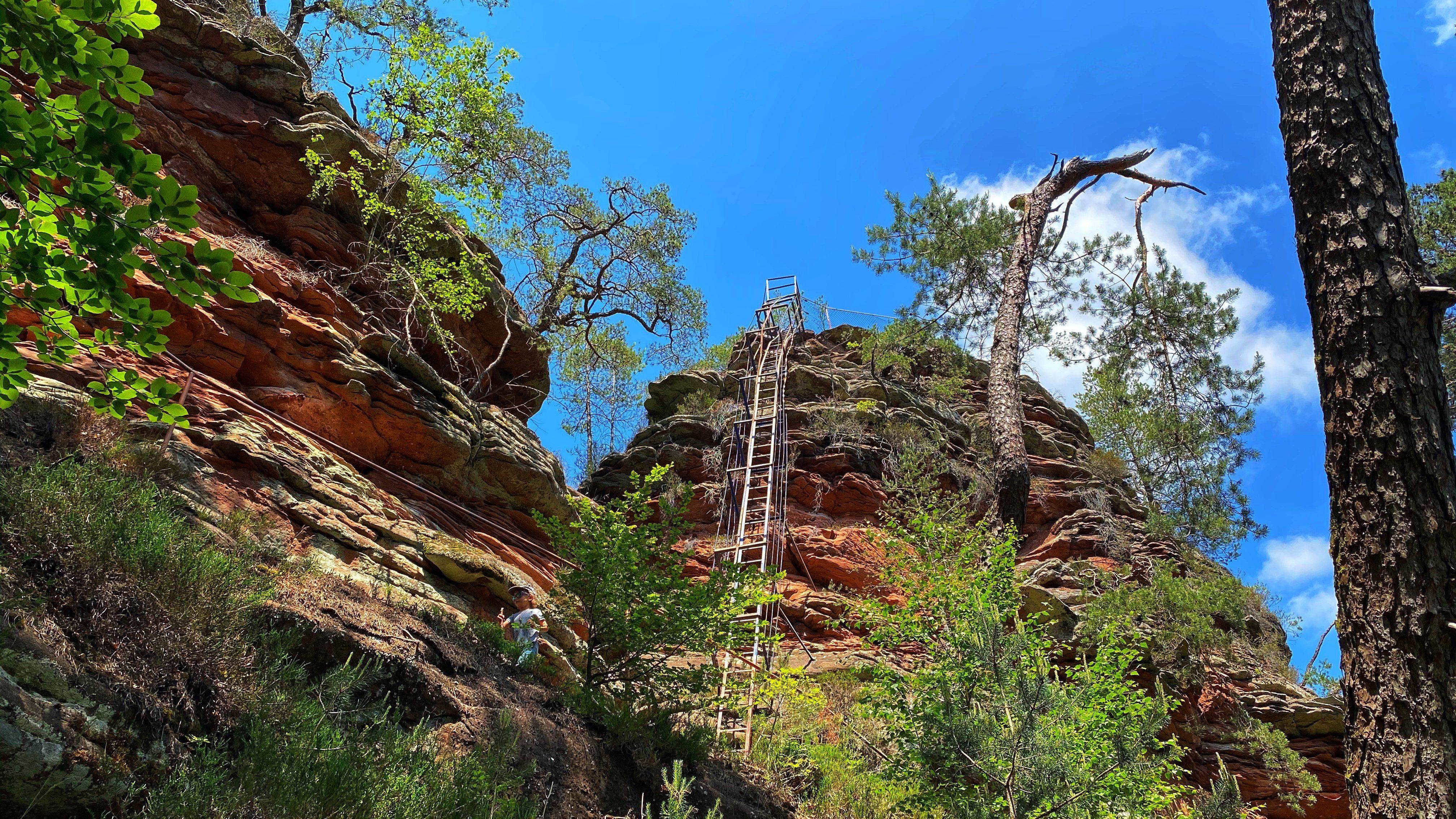 Hauenstein_Wandern