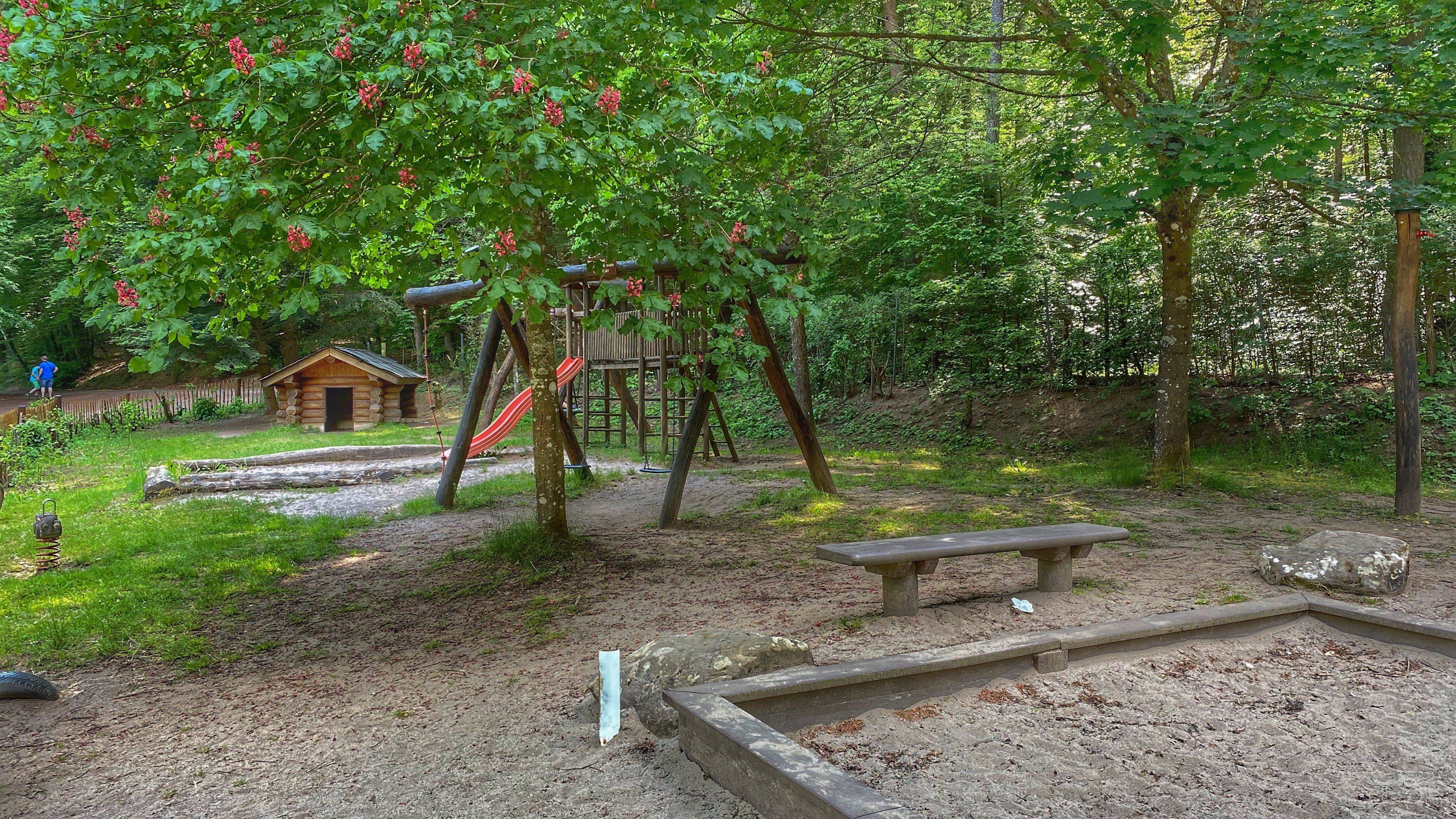 Paddelweiher Hauenstein