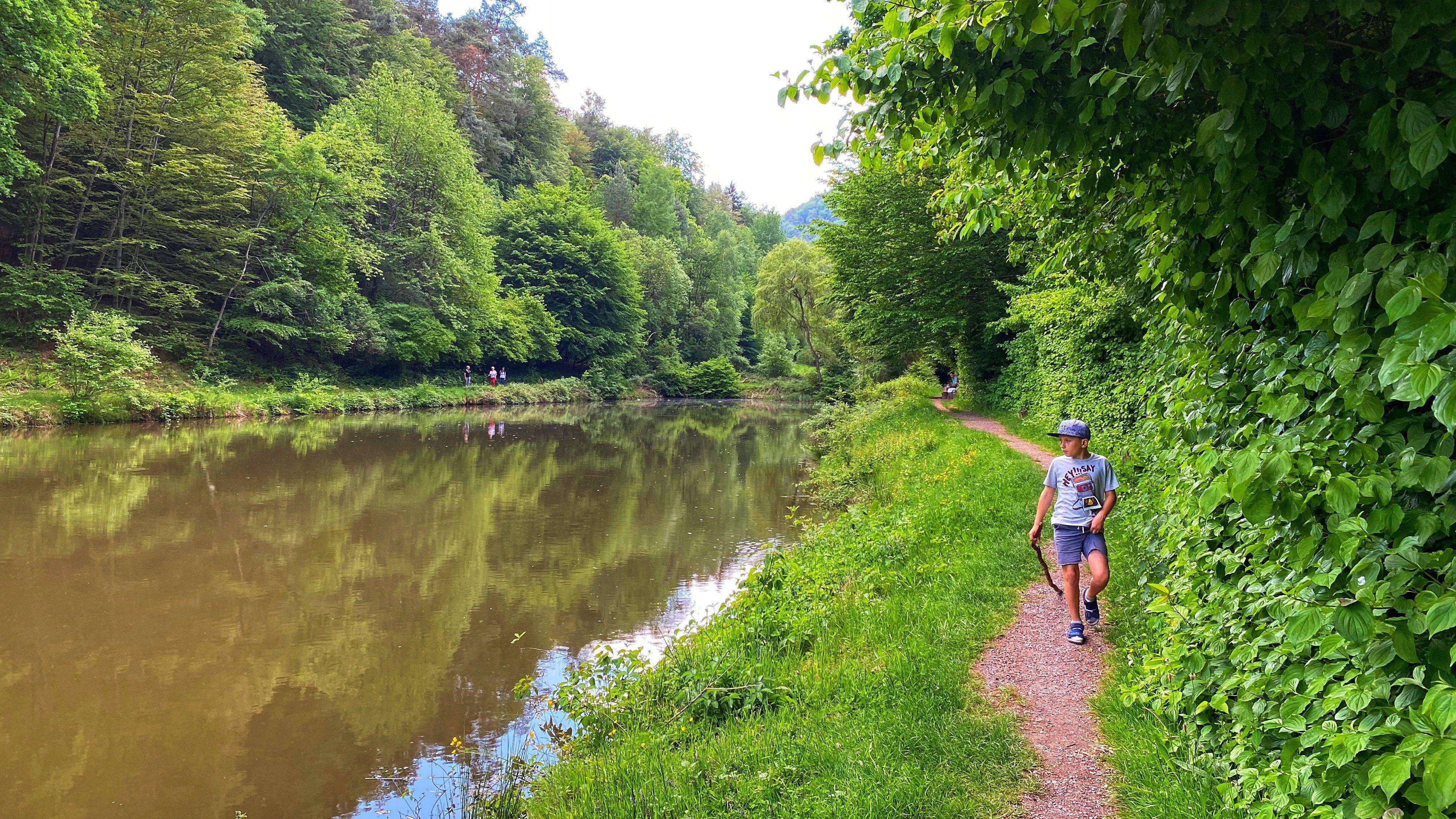 Hauenstein Wandern
