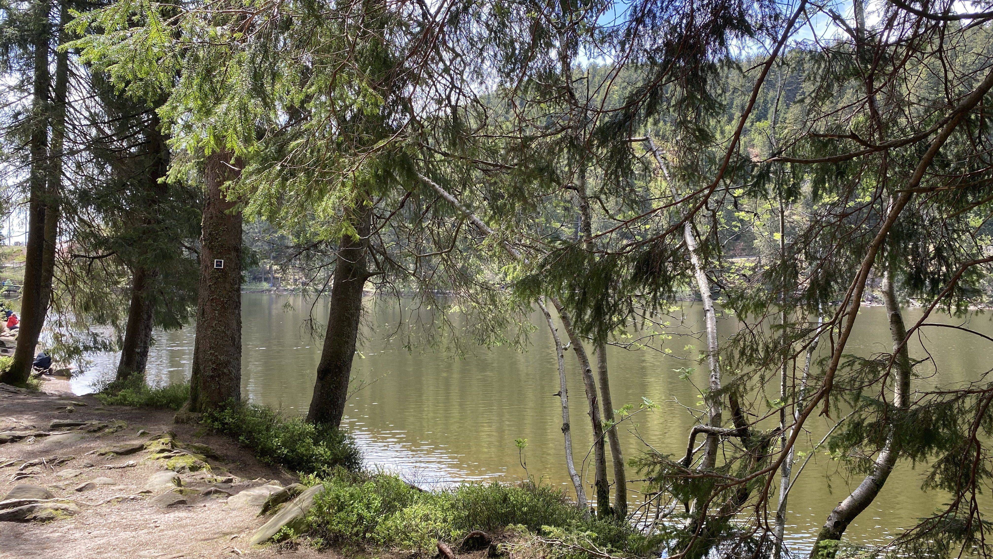 Mummelsee_Wanderung
