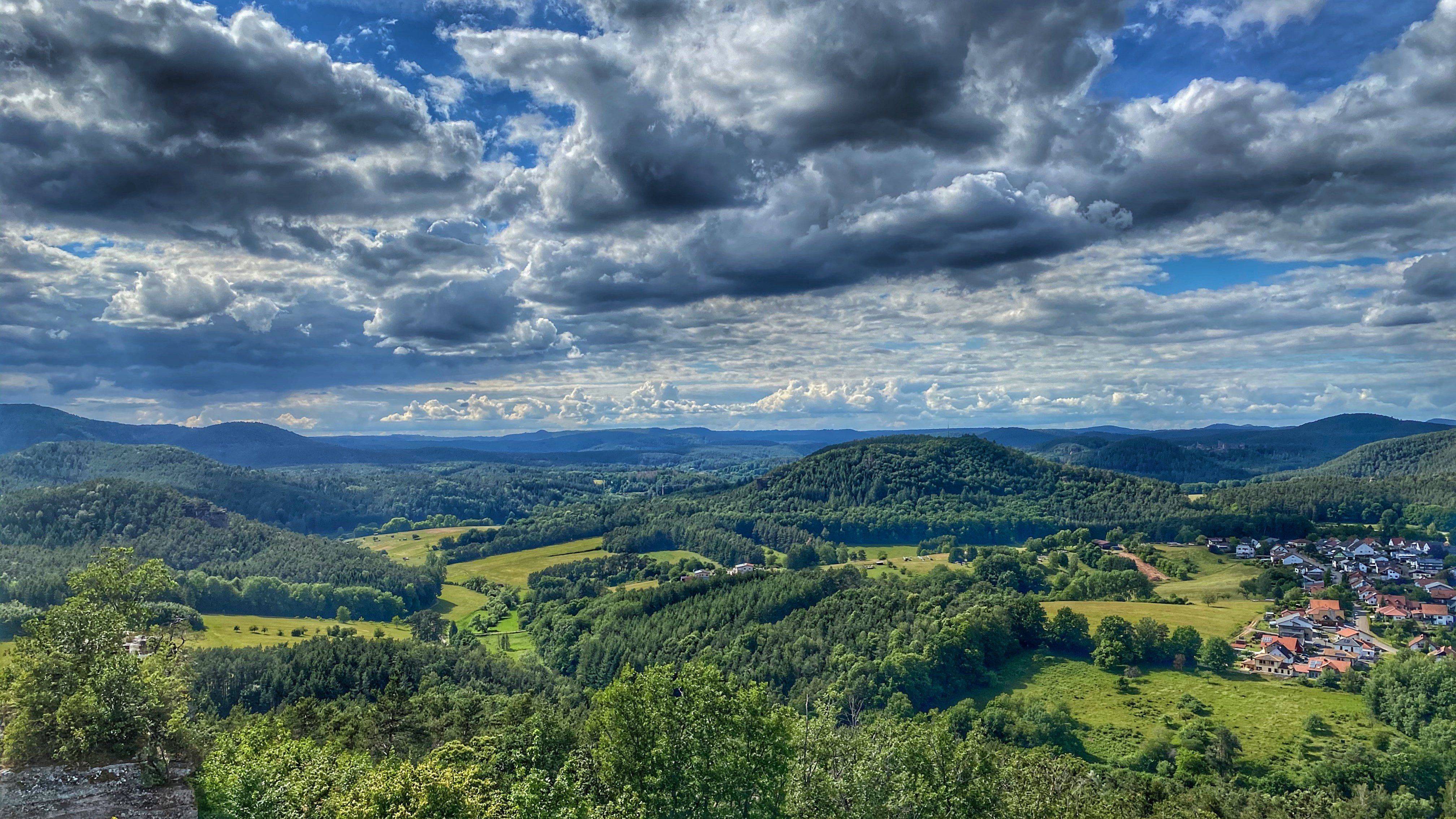 Busenberg