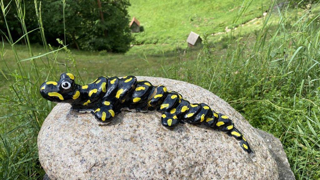 Wandern Kinder Murgtal
