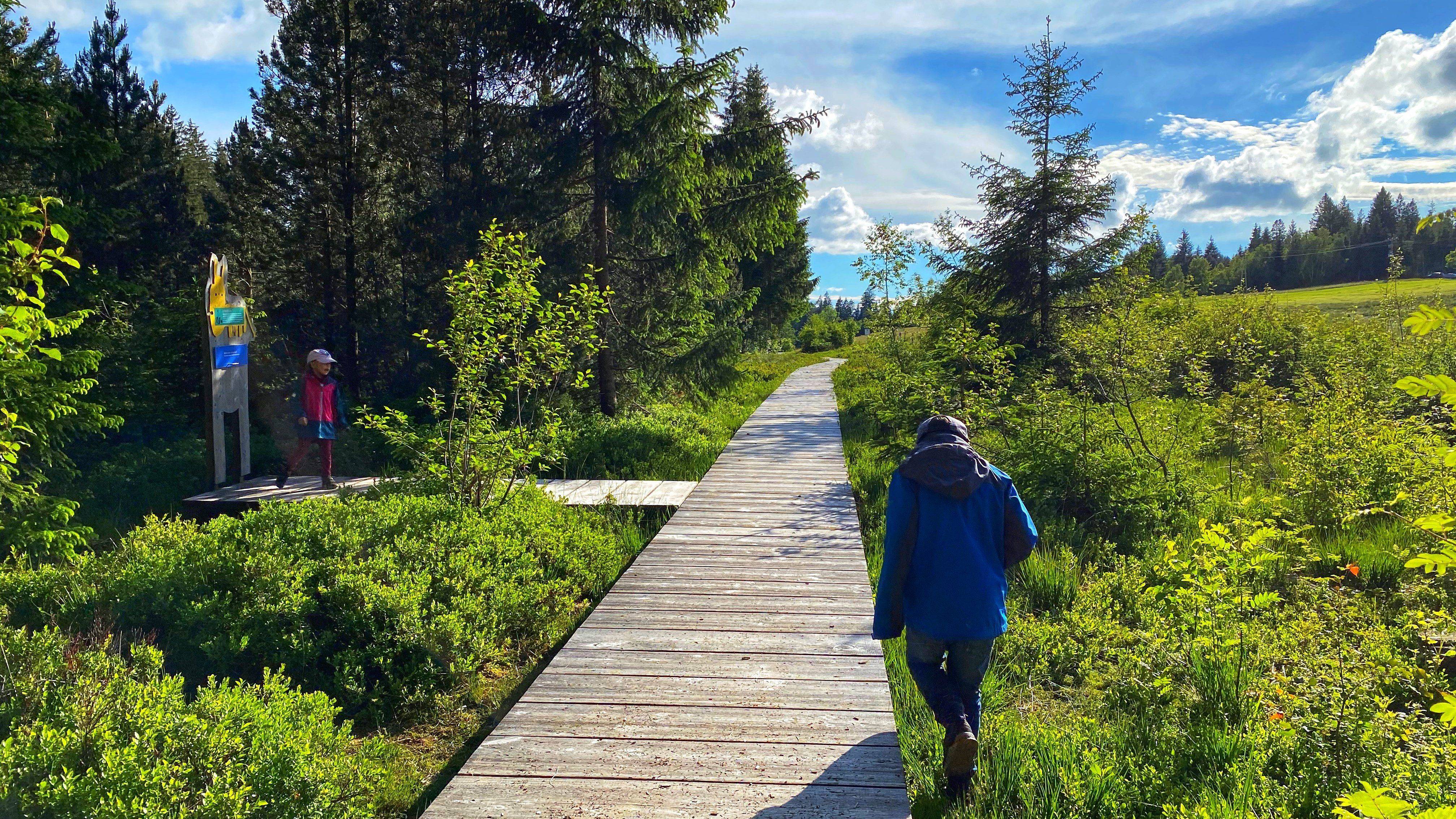 Diepolz Hochmoor
