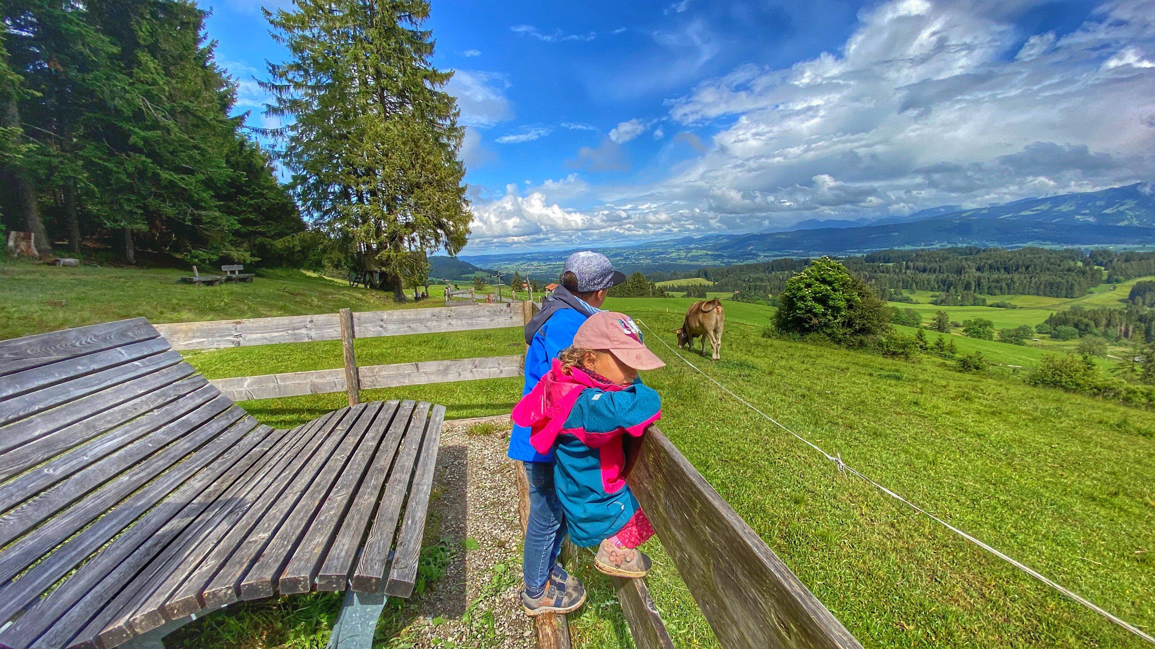 Kuhnigundenweg Relaxliegen