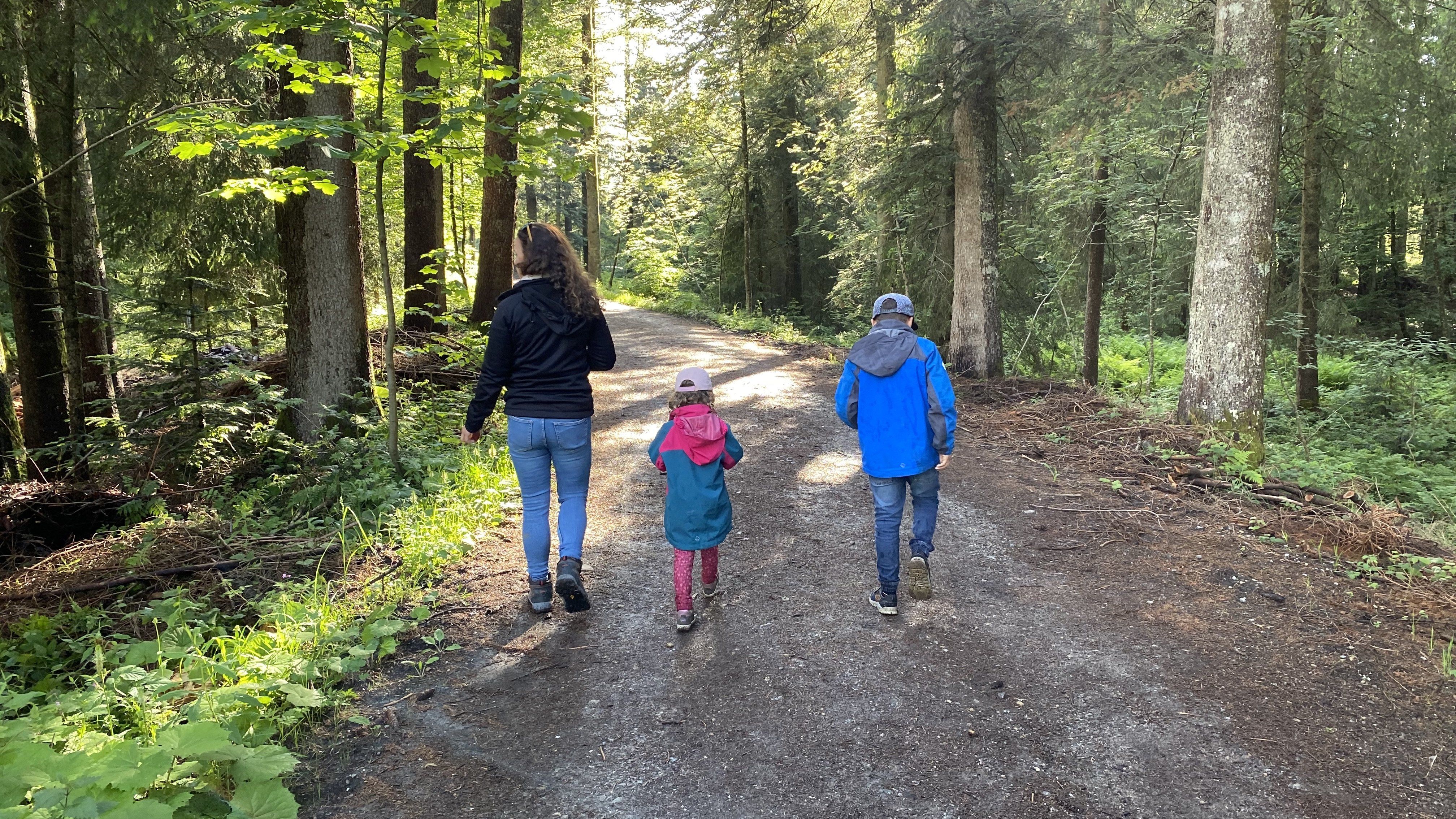 Kuhnigundenweg Waldweg