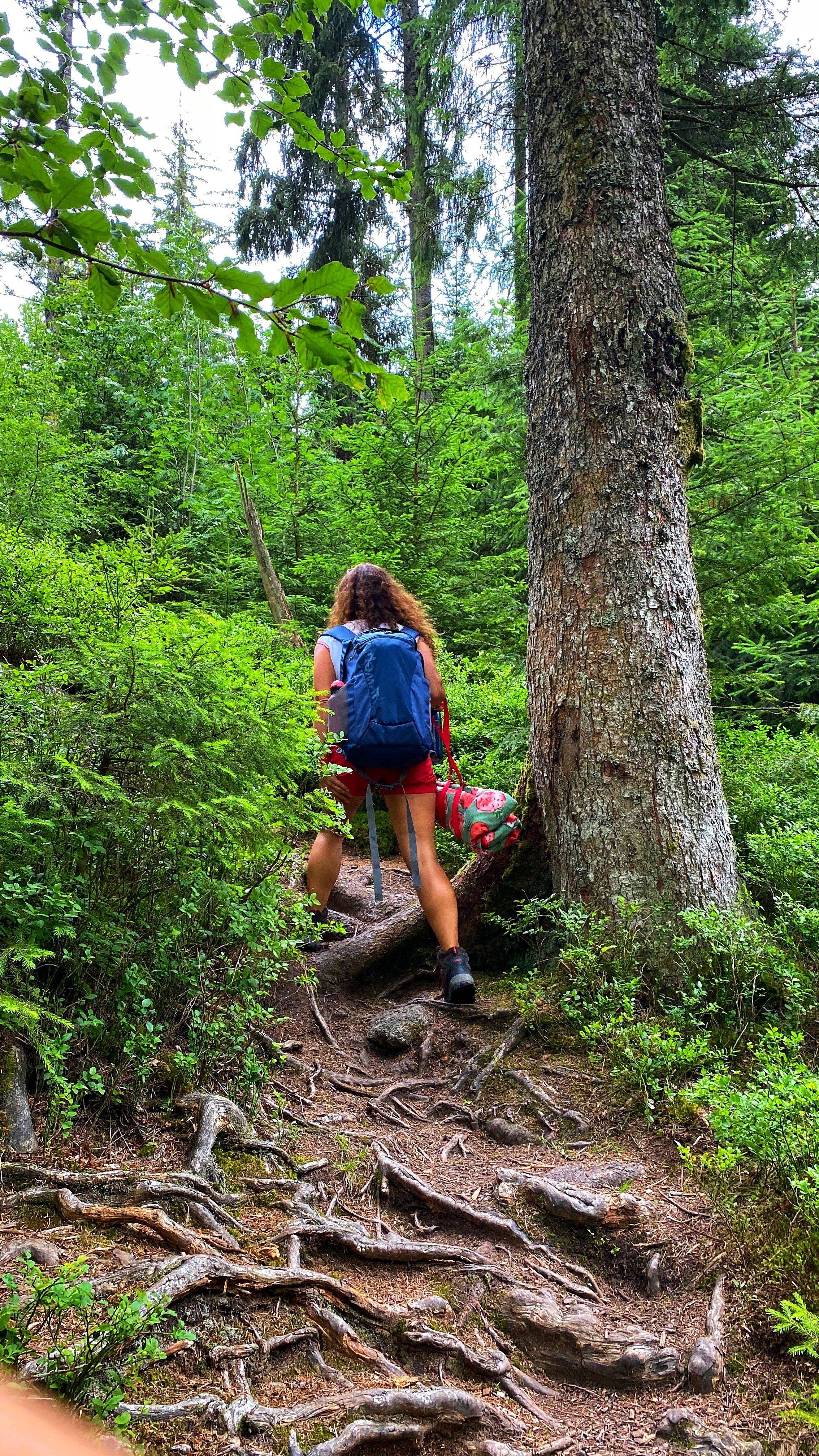 Schwarzenbach Talsperre Wandern