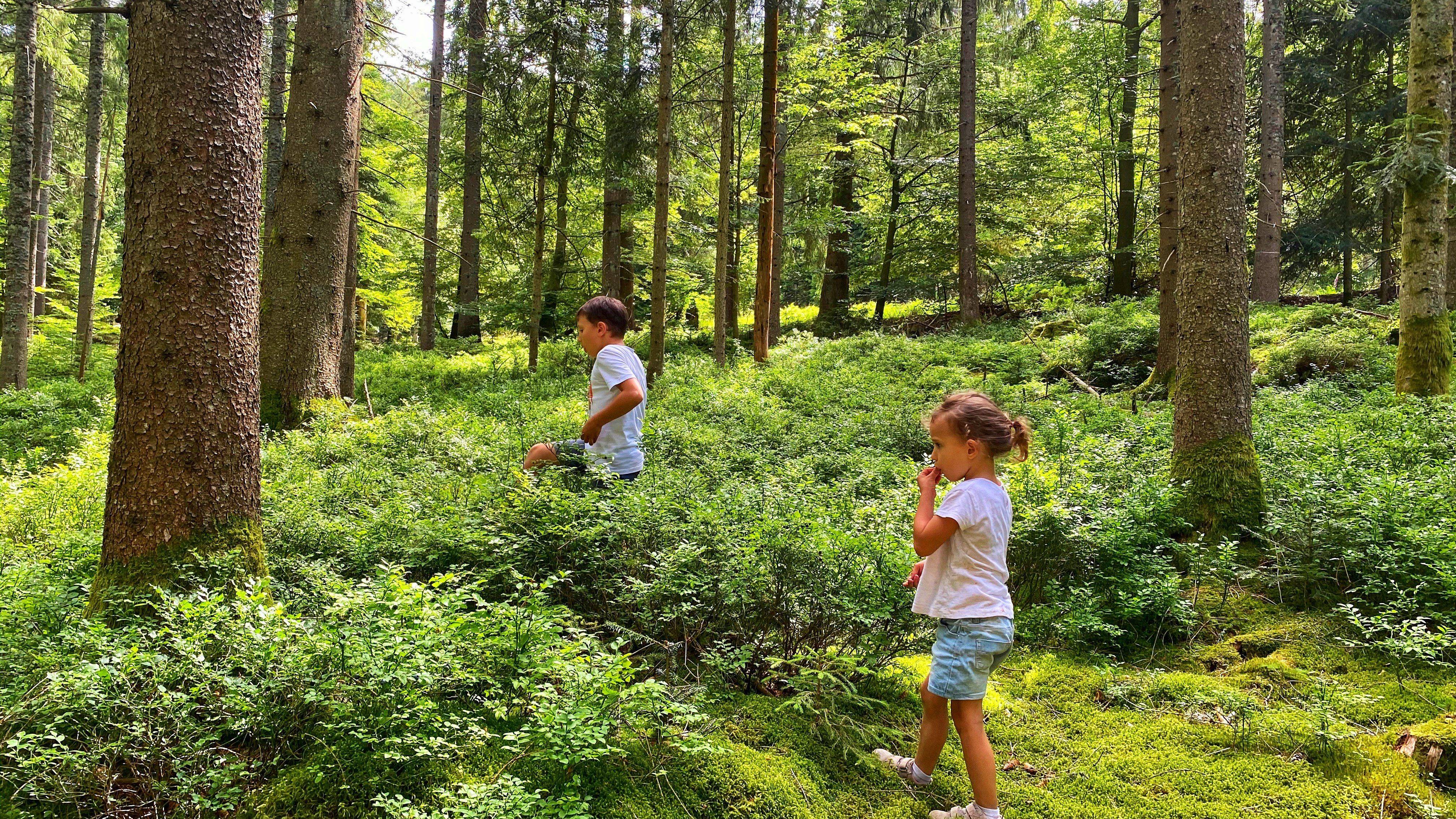 Schwarzenbach Talsperre Wandern Wald Kinder