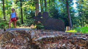 Mäusejagd Wildkatzenpfad