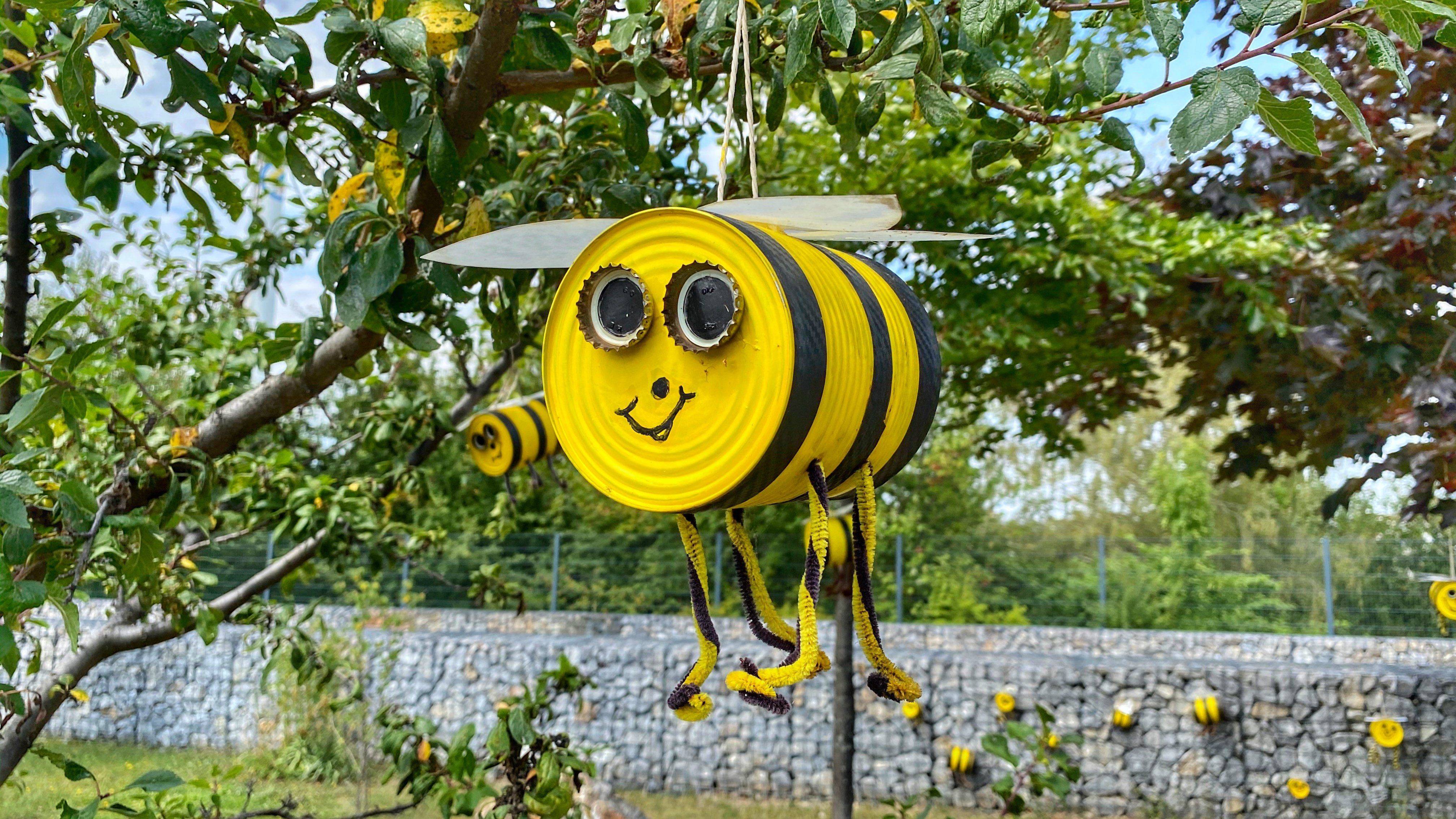 Biene Konserve Bürgerpark Wernigerode