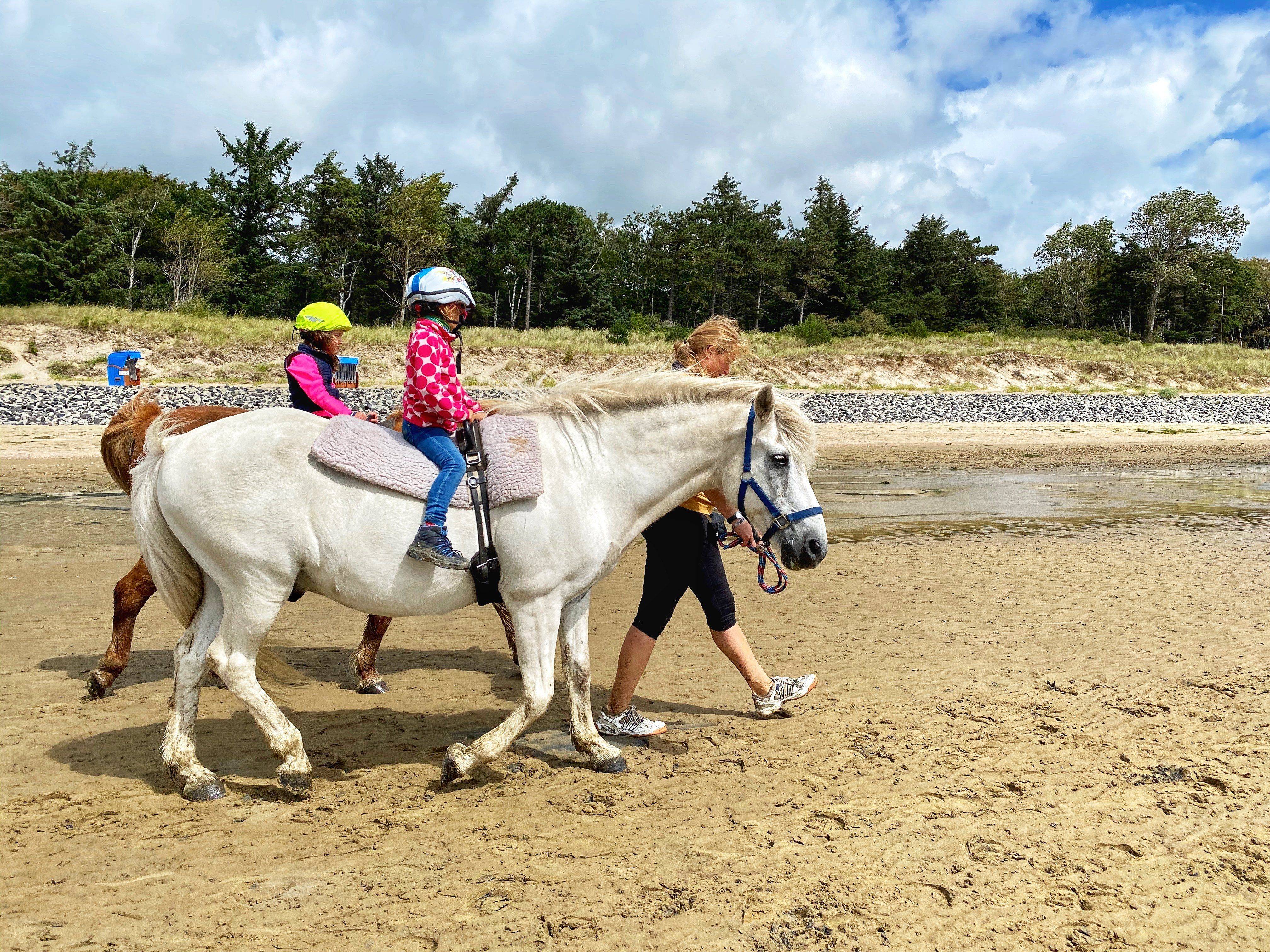 Ponyreiten Föhr