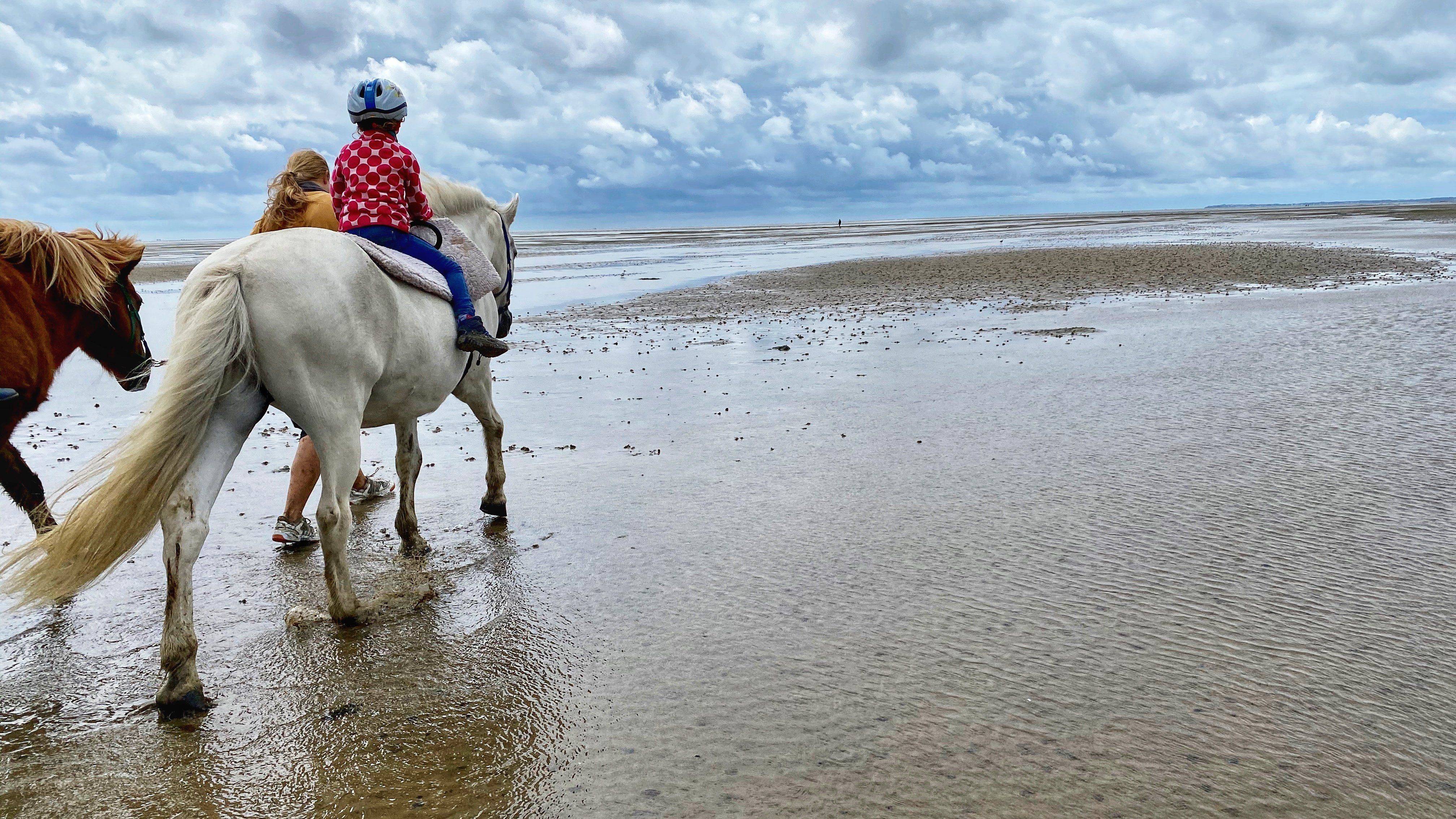 Pony Reiten Föhr