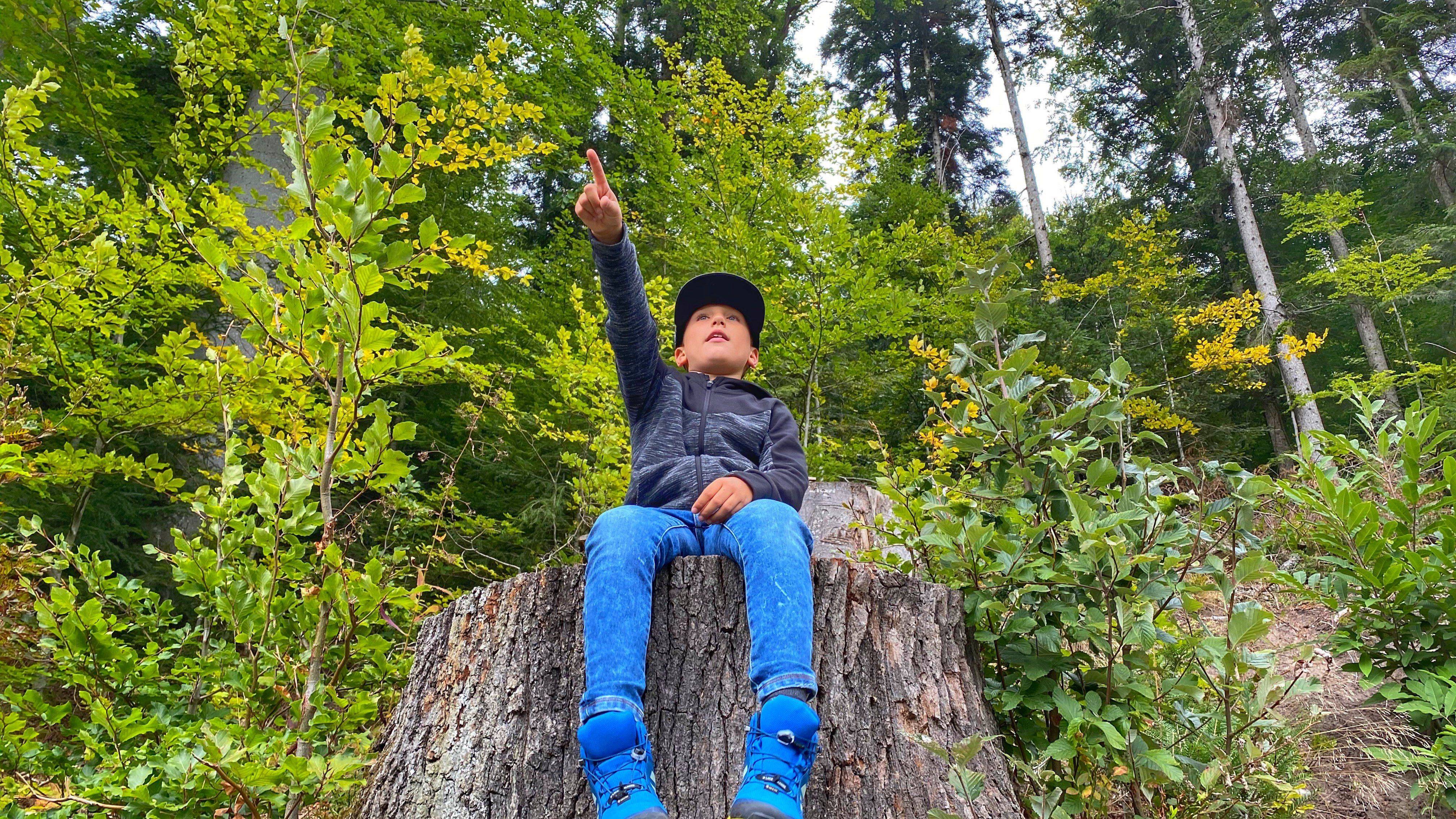 Annis Schwarzwald Geheimnis Bad Herrenalb