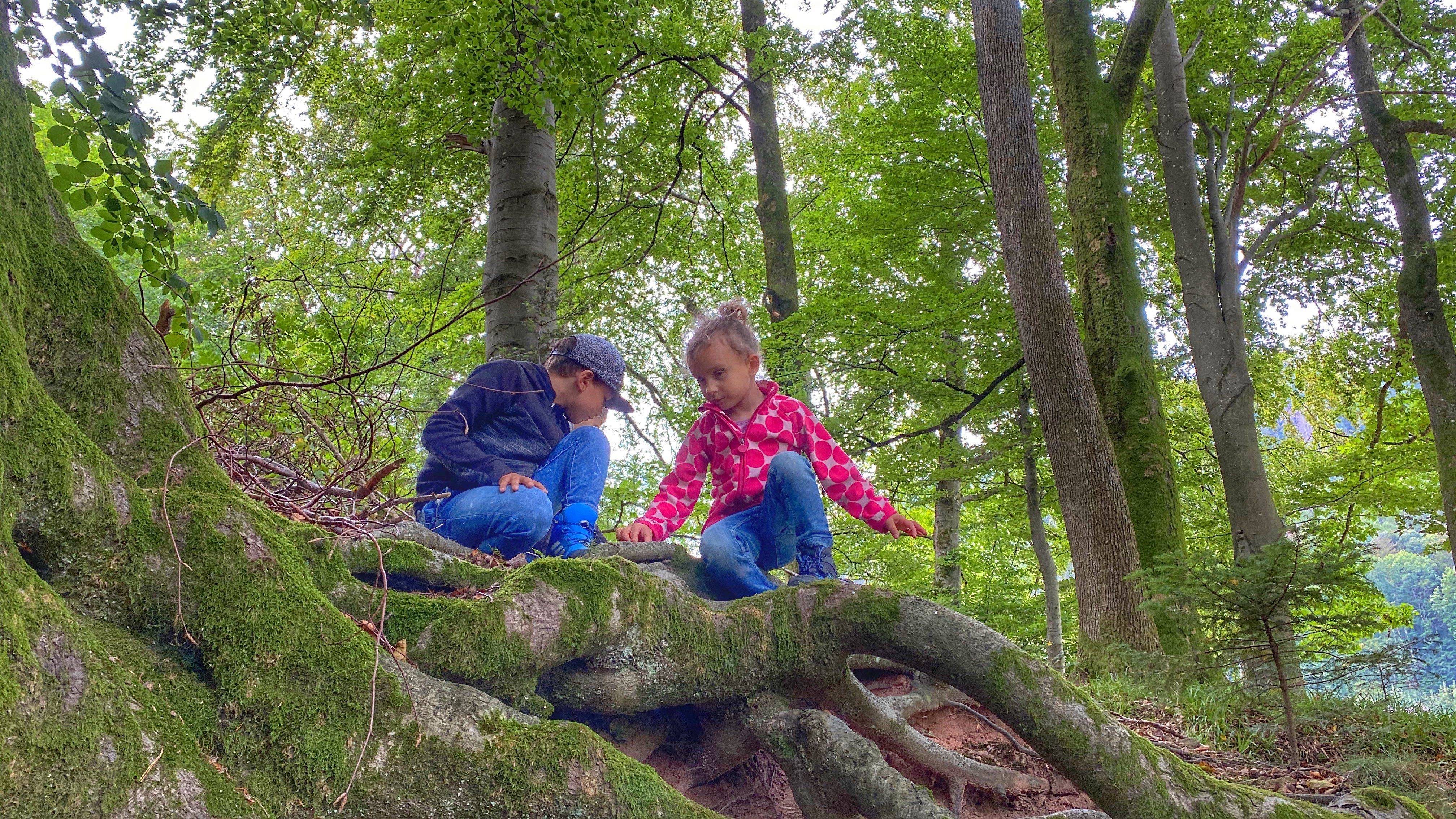 Schnitzeljagd im Schwarzwald