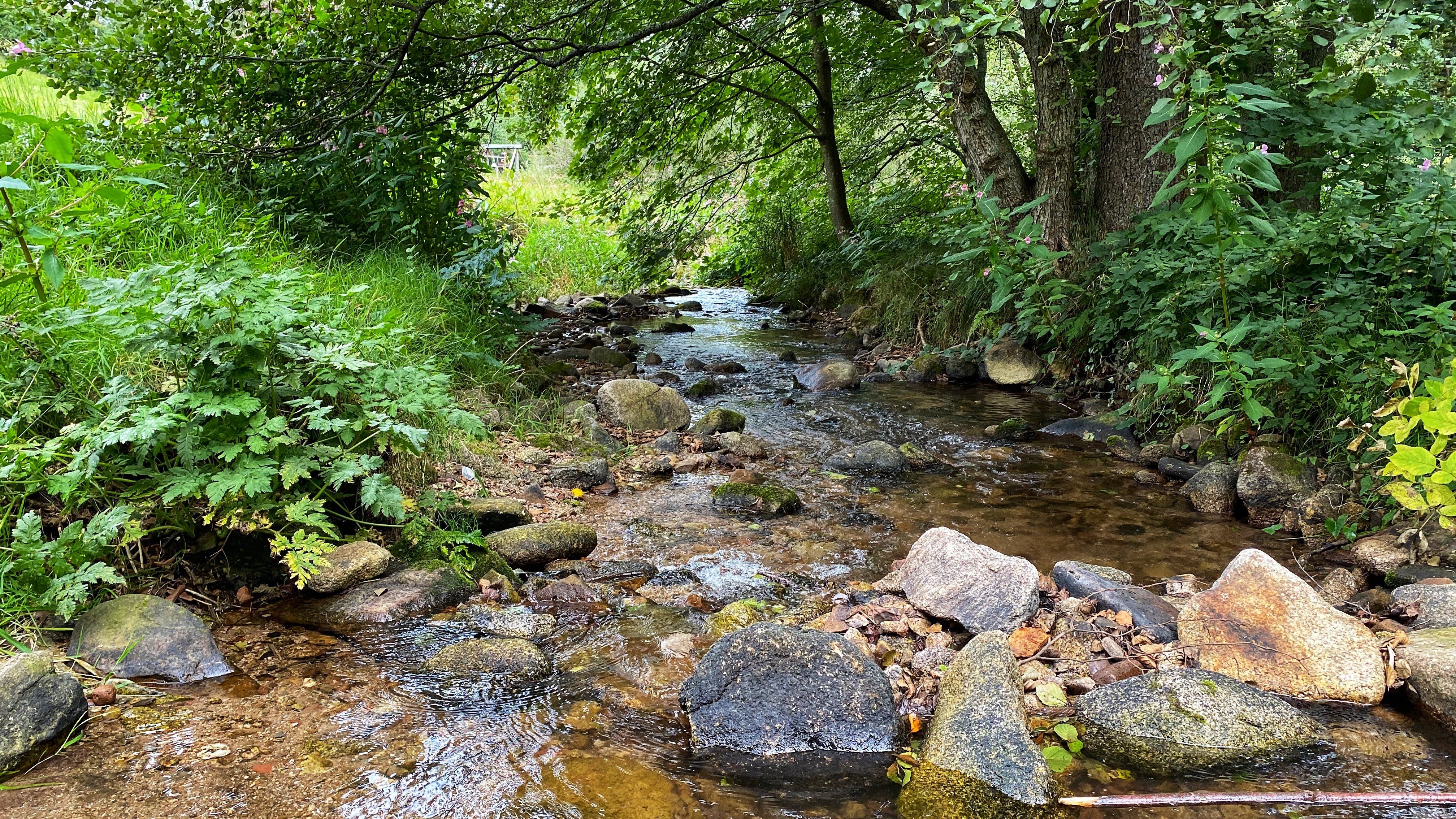 Gaisbach unteres Gaistal