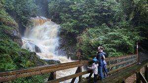 Holzbrücke entlang der Wutach