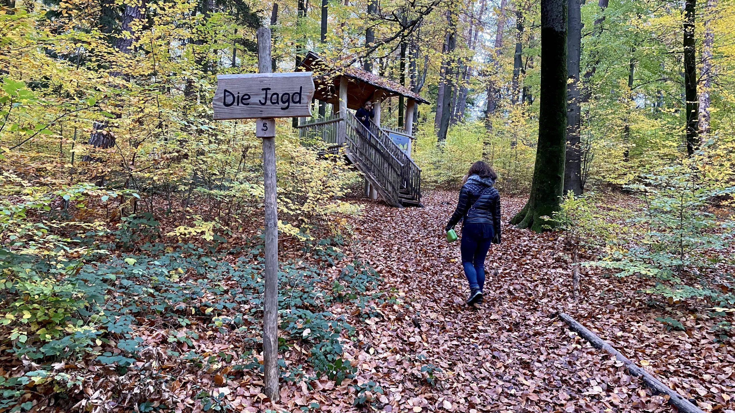 Ausguck Walderlebnispfad