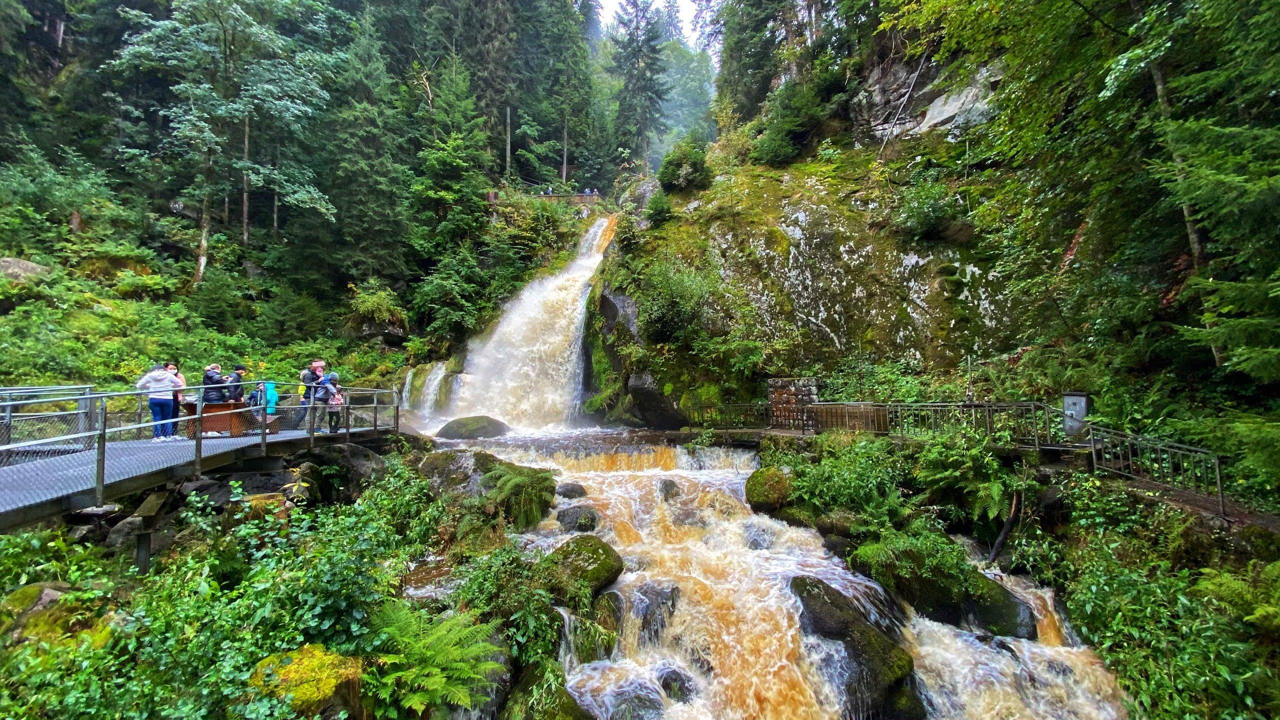Ausflug Familien Schwarzwald