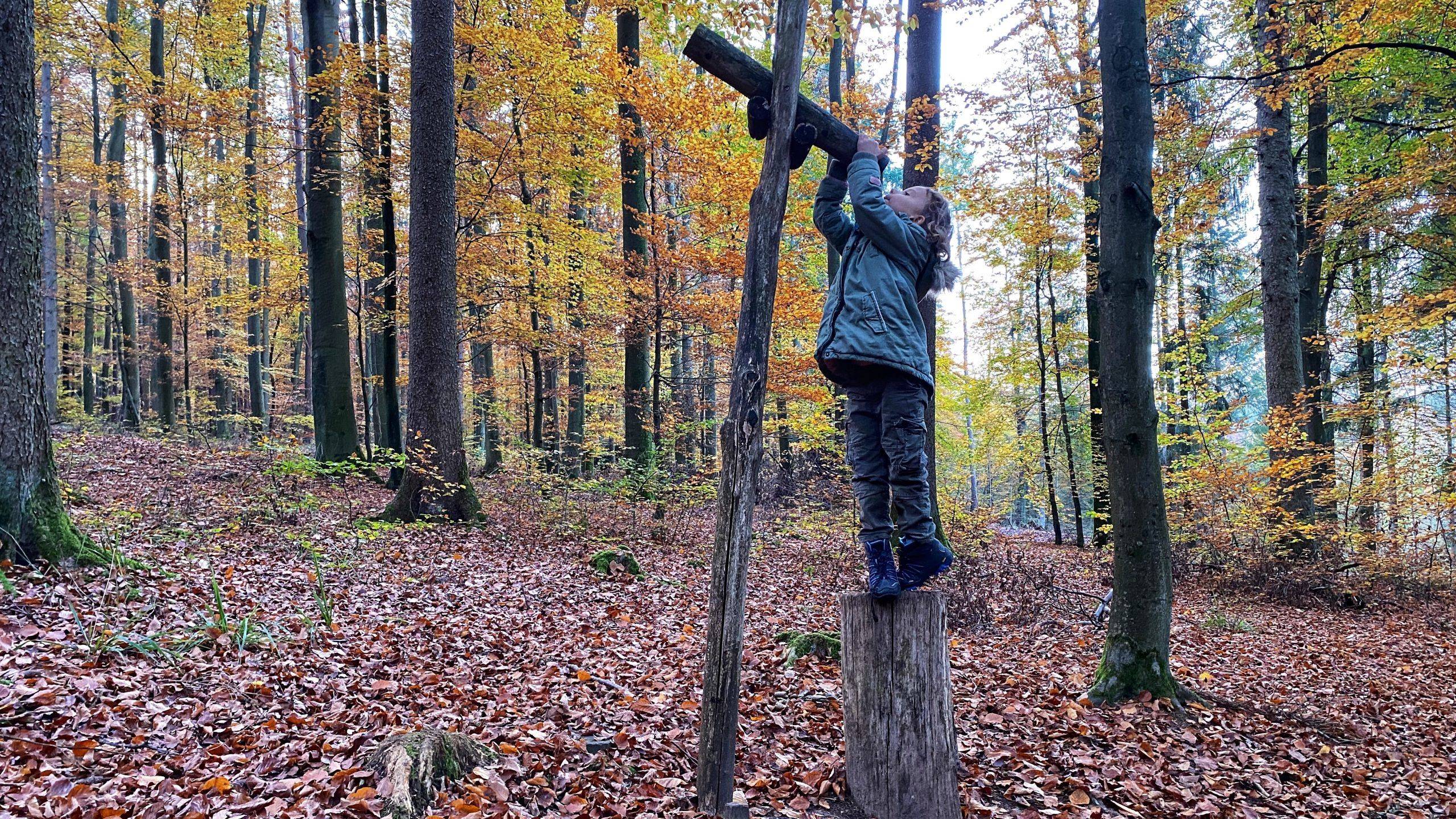Holz Fernrohr