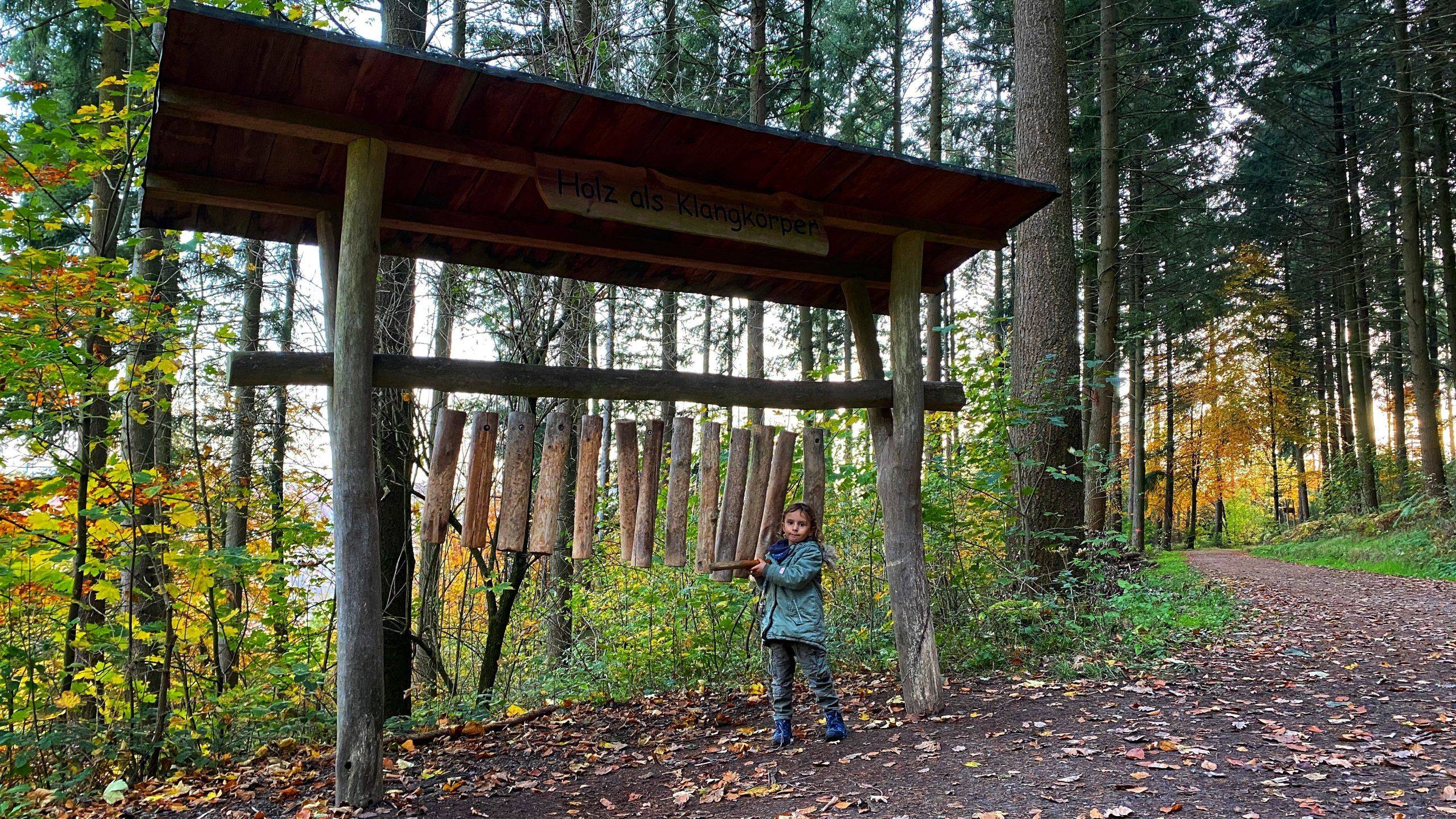 Holz Klangkörper Schwarzwald