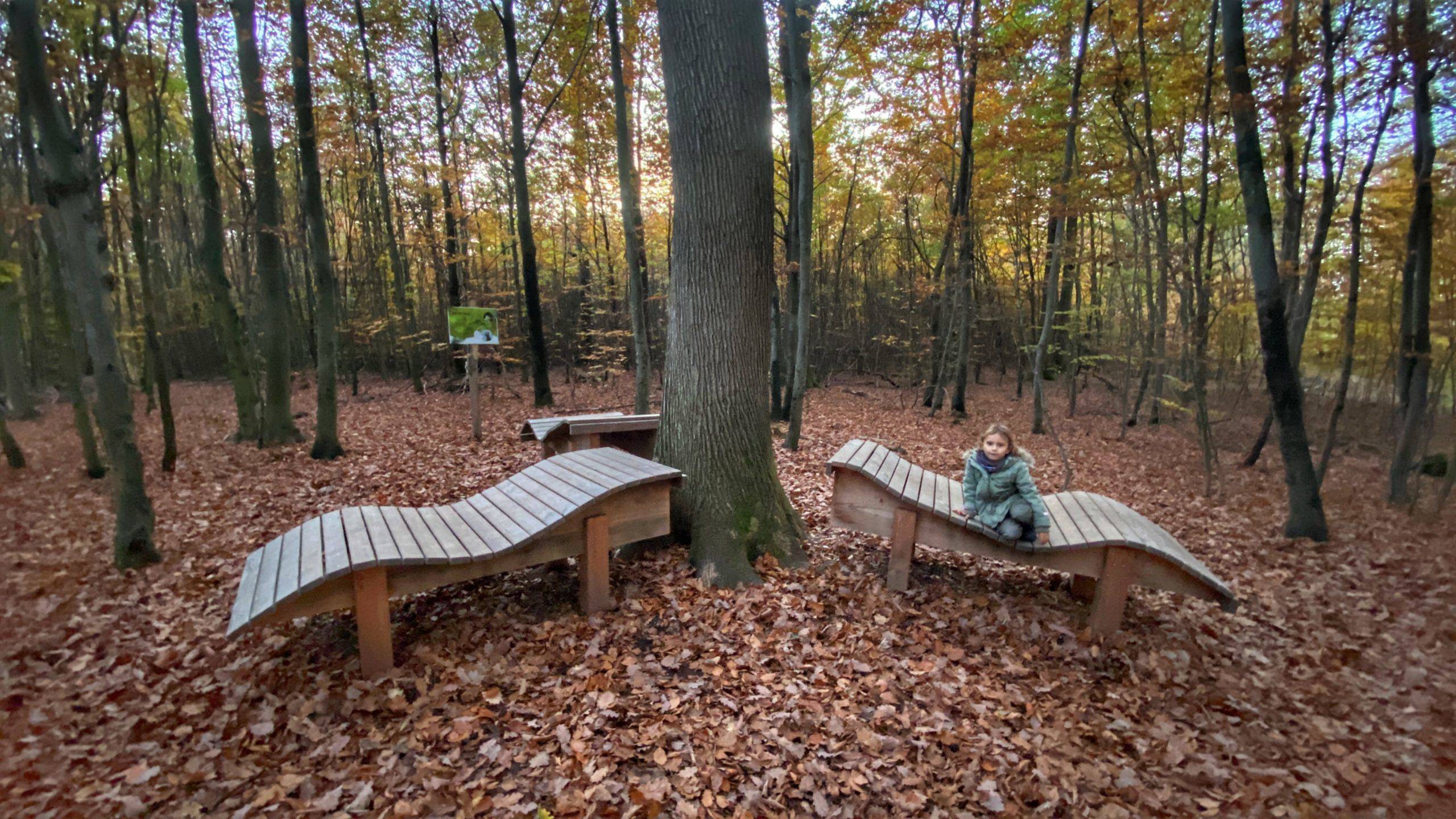 Relaxliegen Schwarzwald