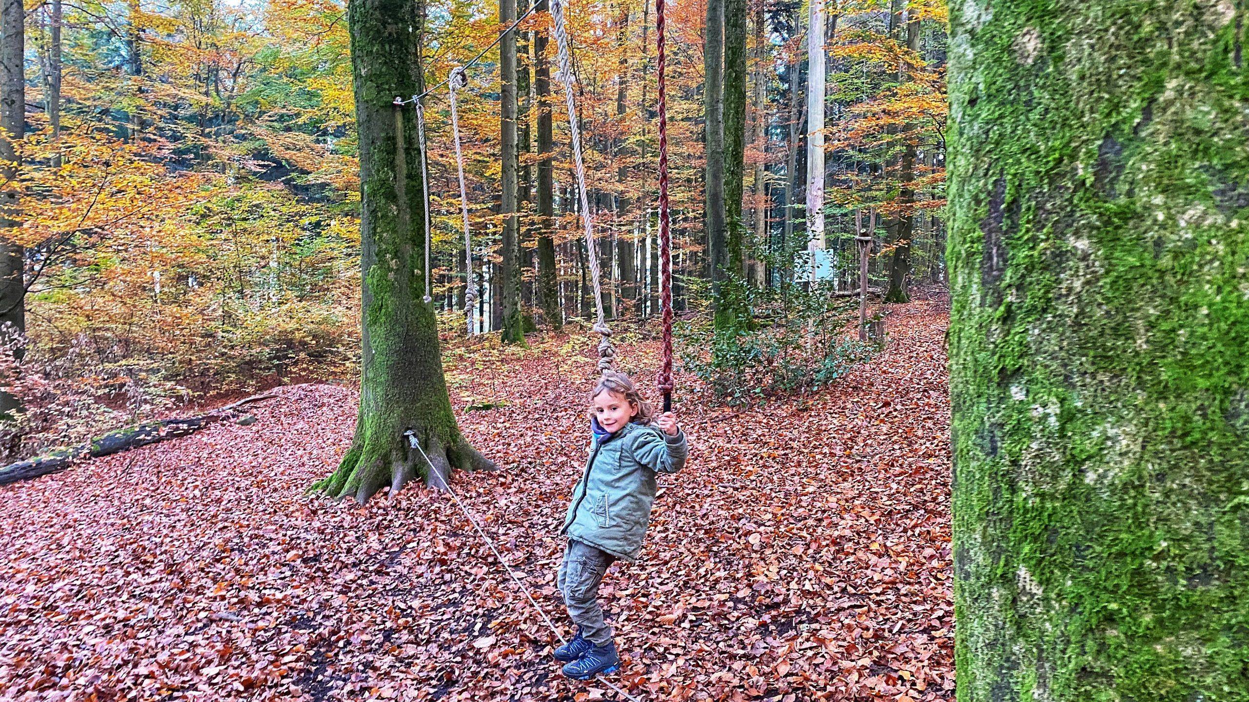 Slackline Wald