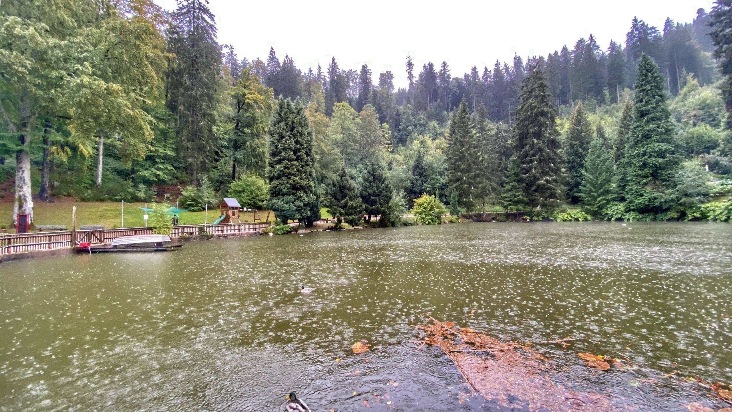 Bergsee Schwarzwald