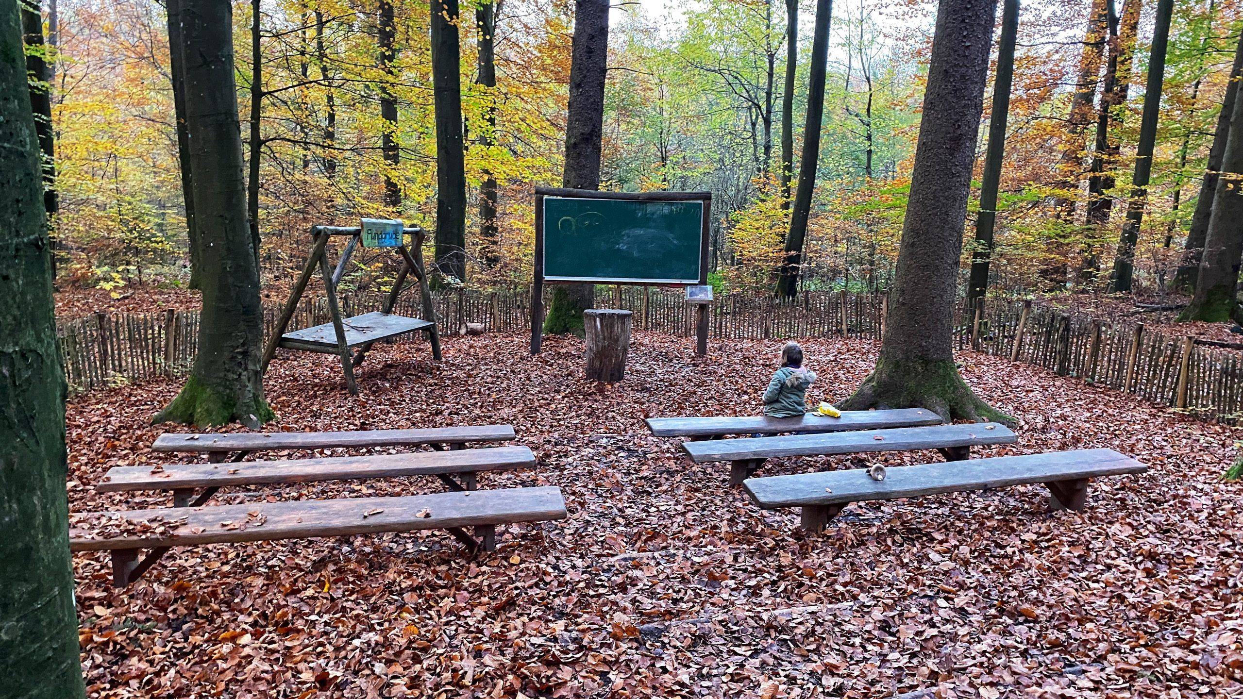 Waldklassenzimmer Schwarzwald