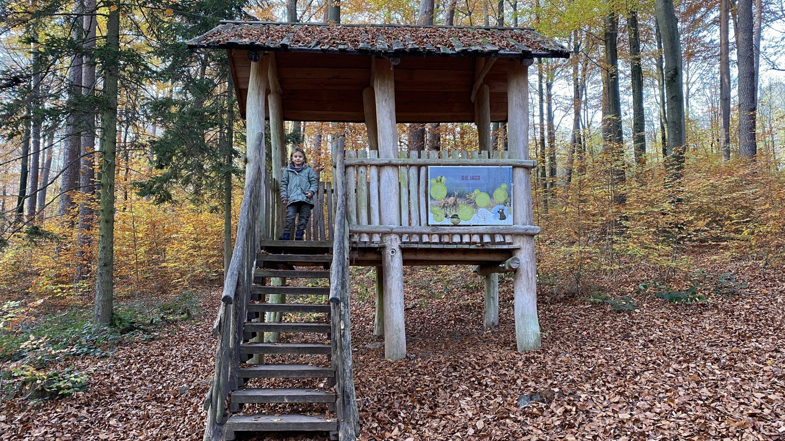 Ausguck Walderlebnispfad Ettlingen
