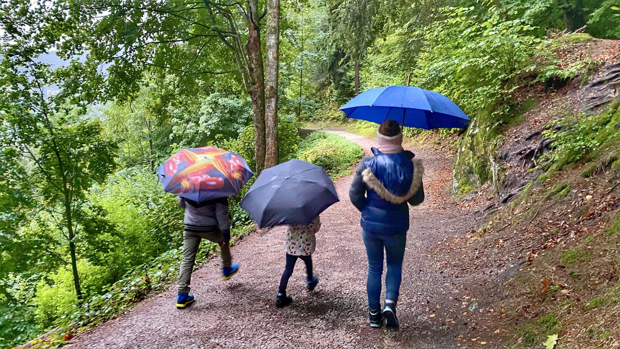 Ausflugstipp Schwarzwald