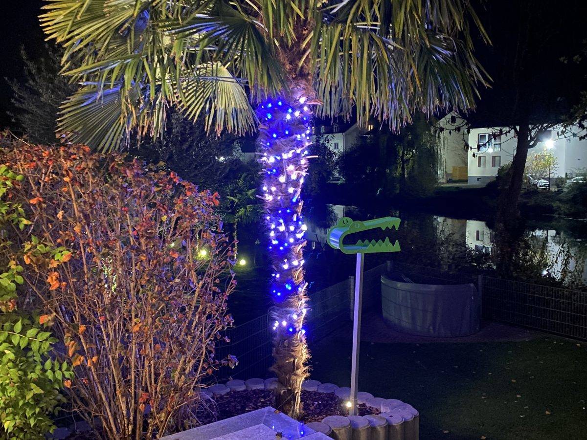 Smarte Weihnachtsbeleuchtung für Drinnen und Draußen – bunte Weihnachten im Garten und am Weihnachtsbaum
