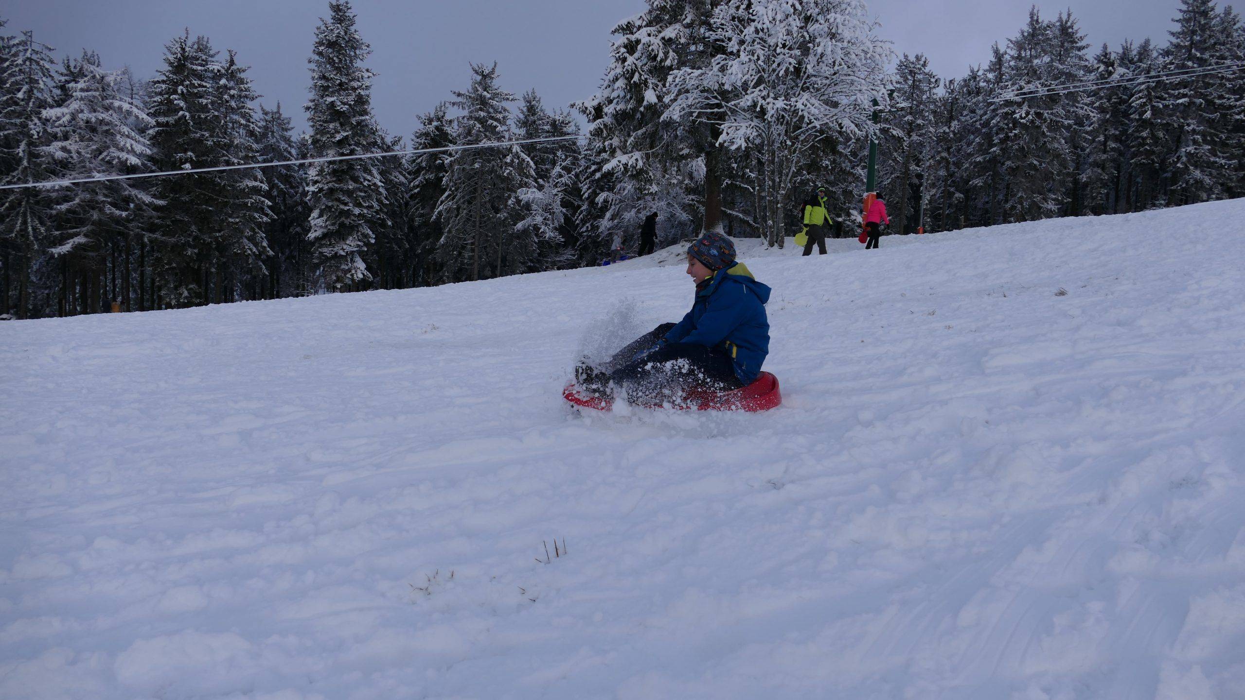 Schlitten fahren Schwarzwald
