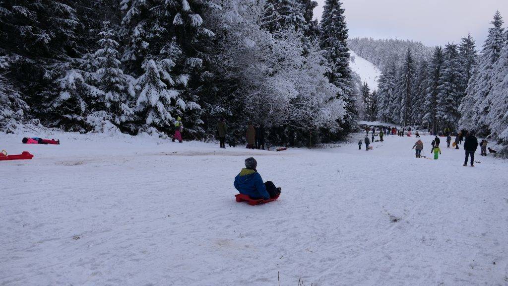 Rodeln Ruhestein Schwarzwald