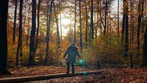 Walderlebnispfad Ettlingen