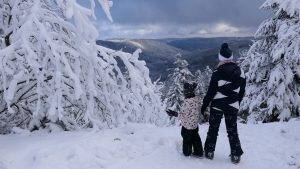 Wildseeblick im Winter