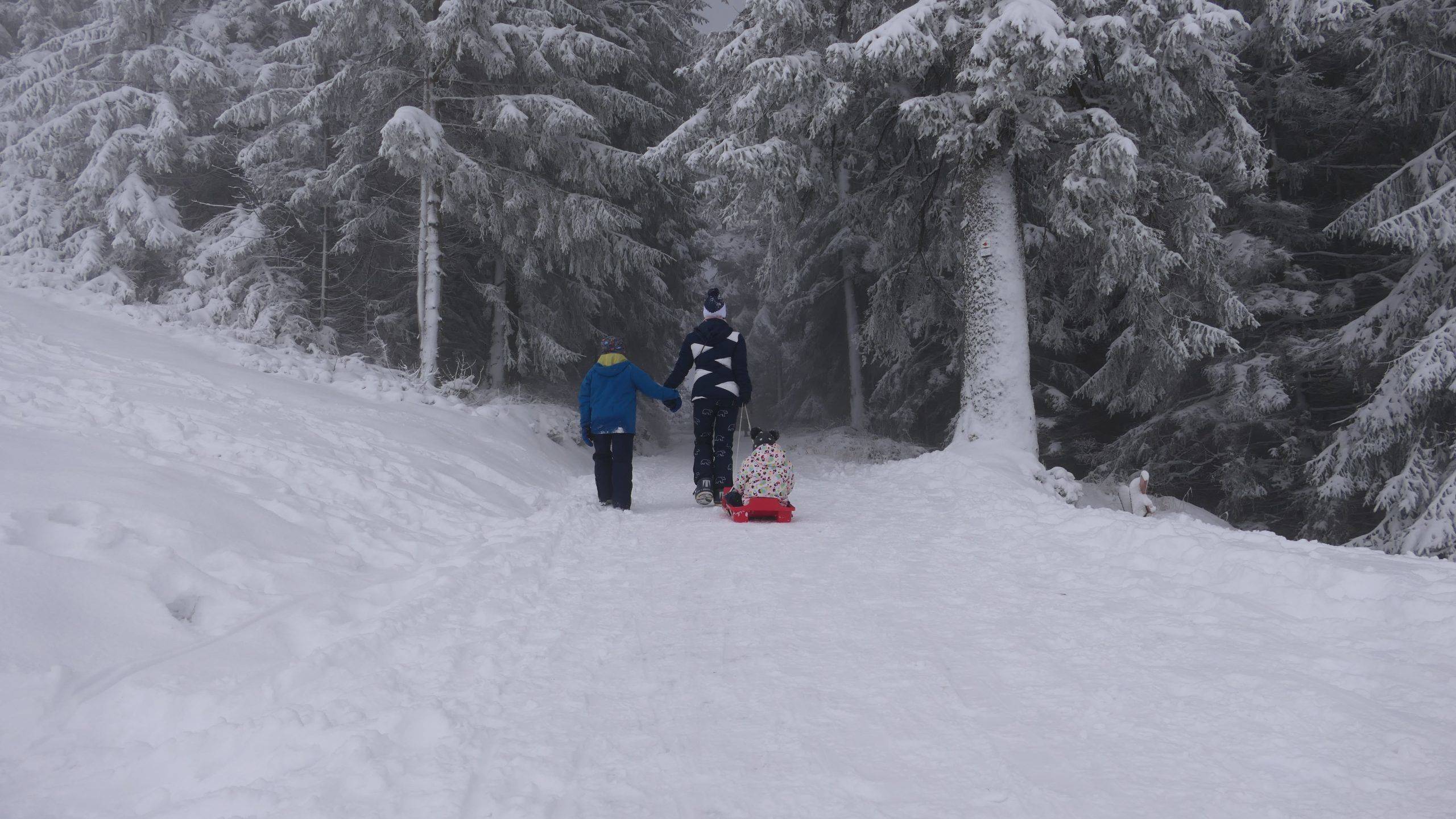 Schwarzwald Schnee Familie