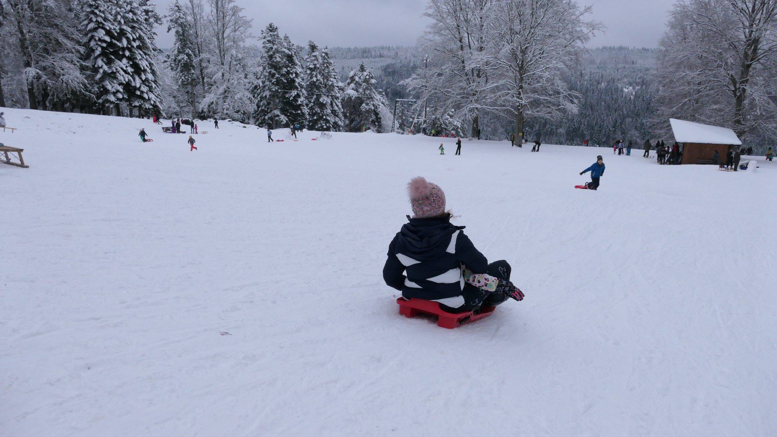 Rodeln Familie Schwarzwald