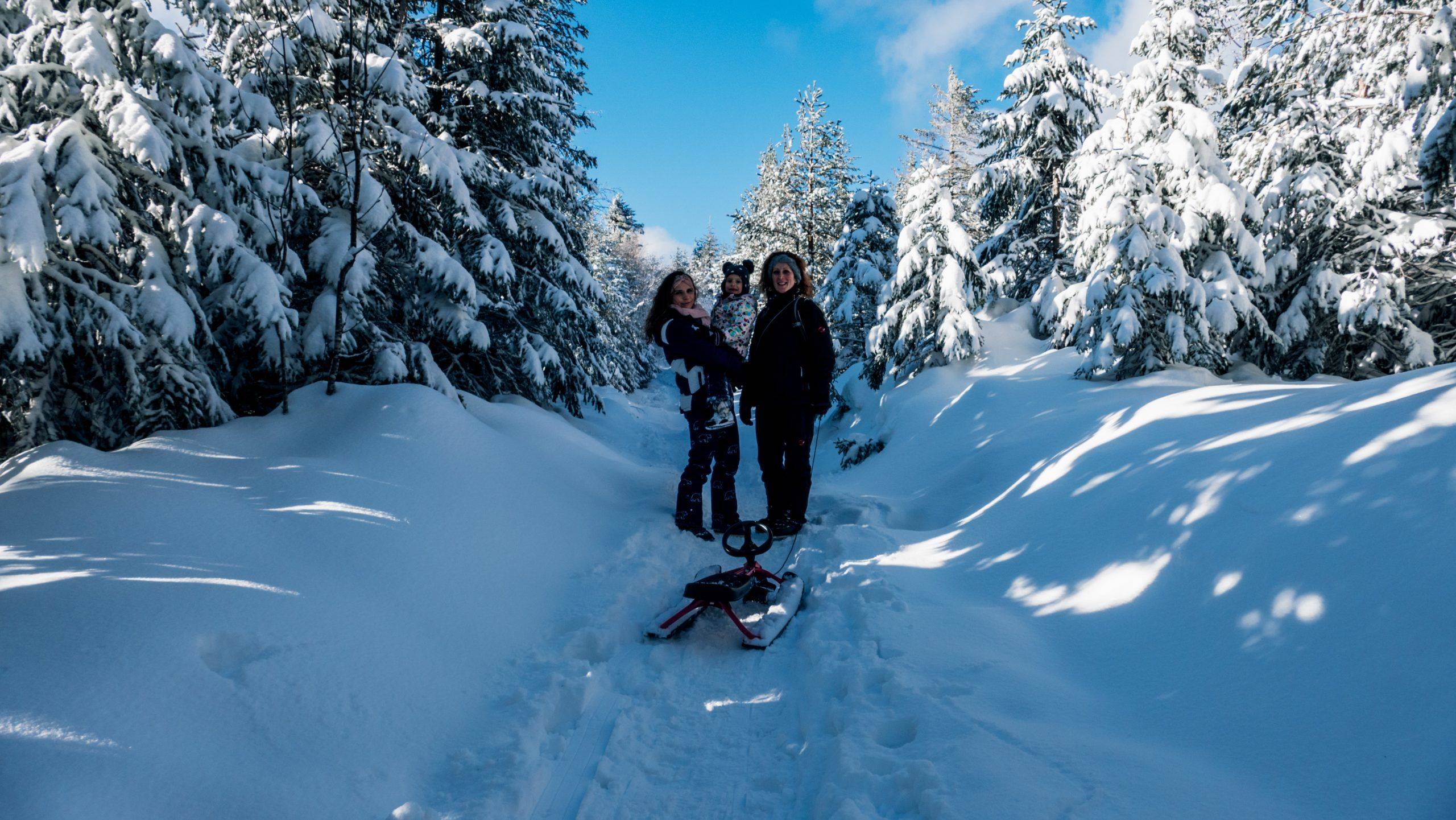 Badener Höhe Wanderweg