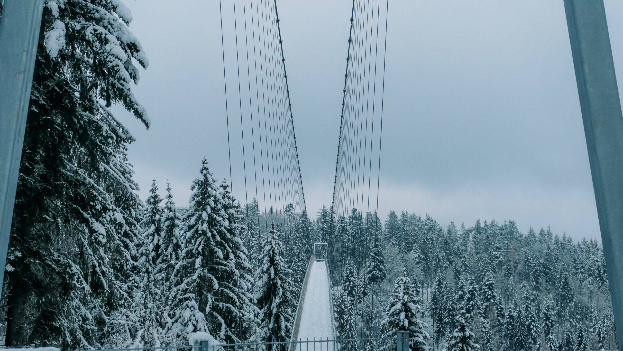 Hängebrücke Wildline Winter