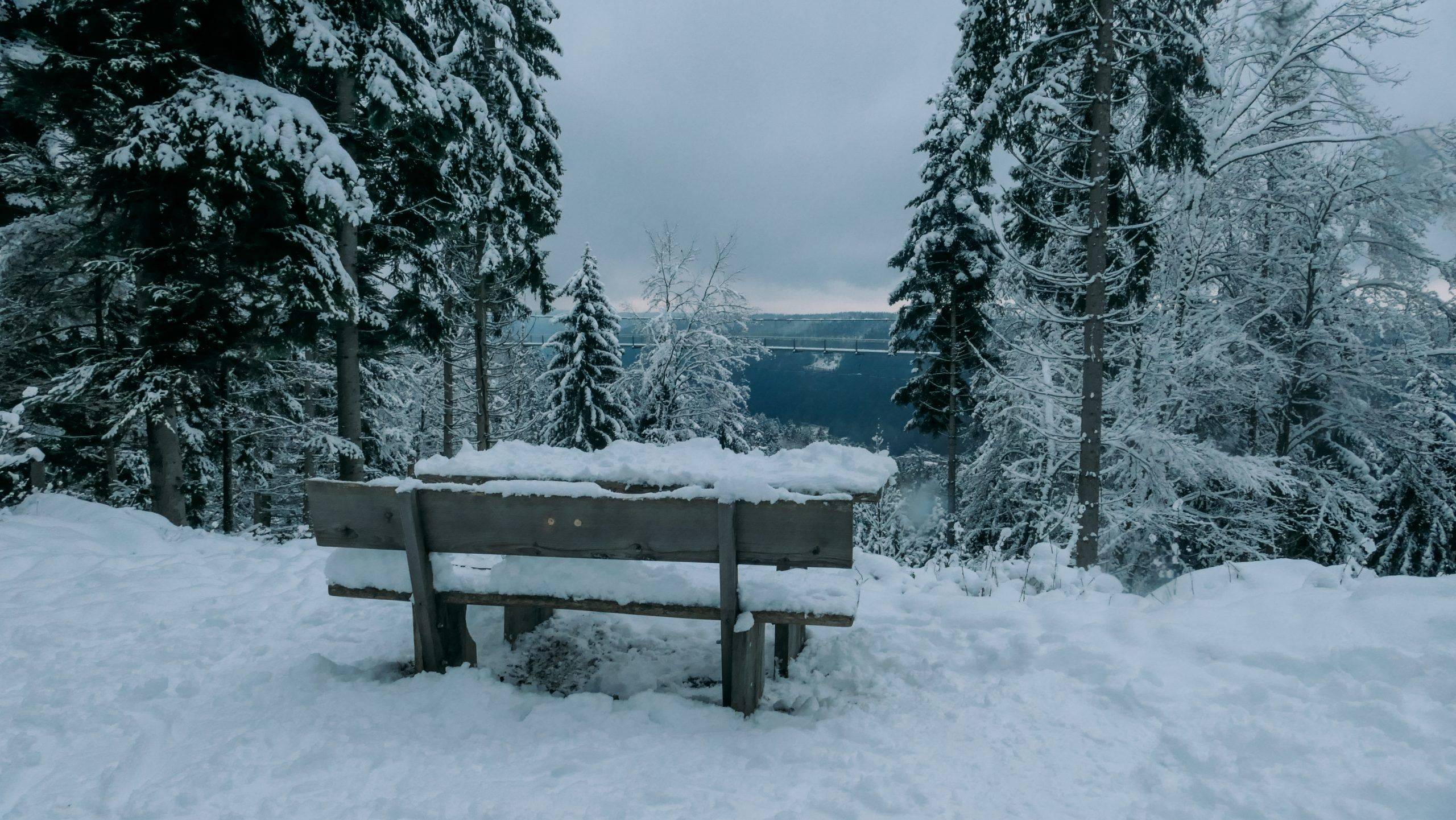 Erlebniswanderung Bad Wildbad