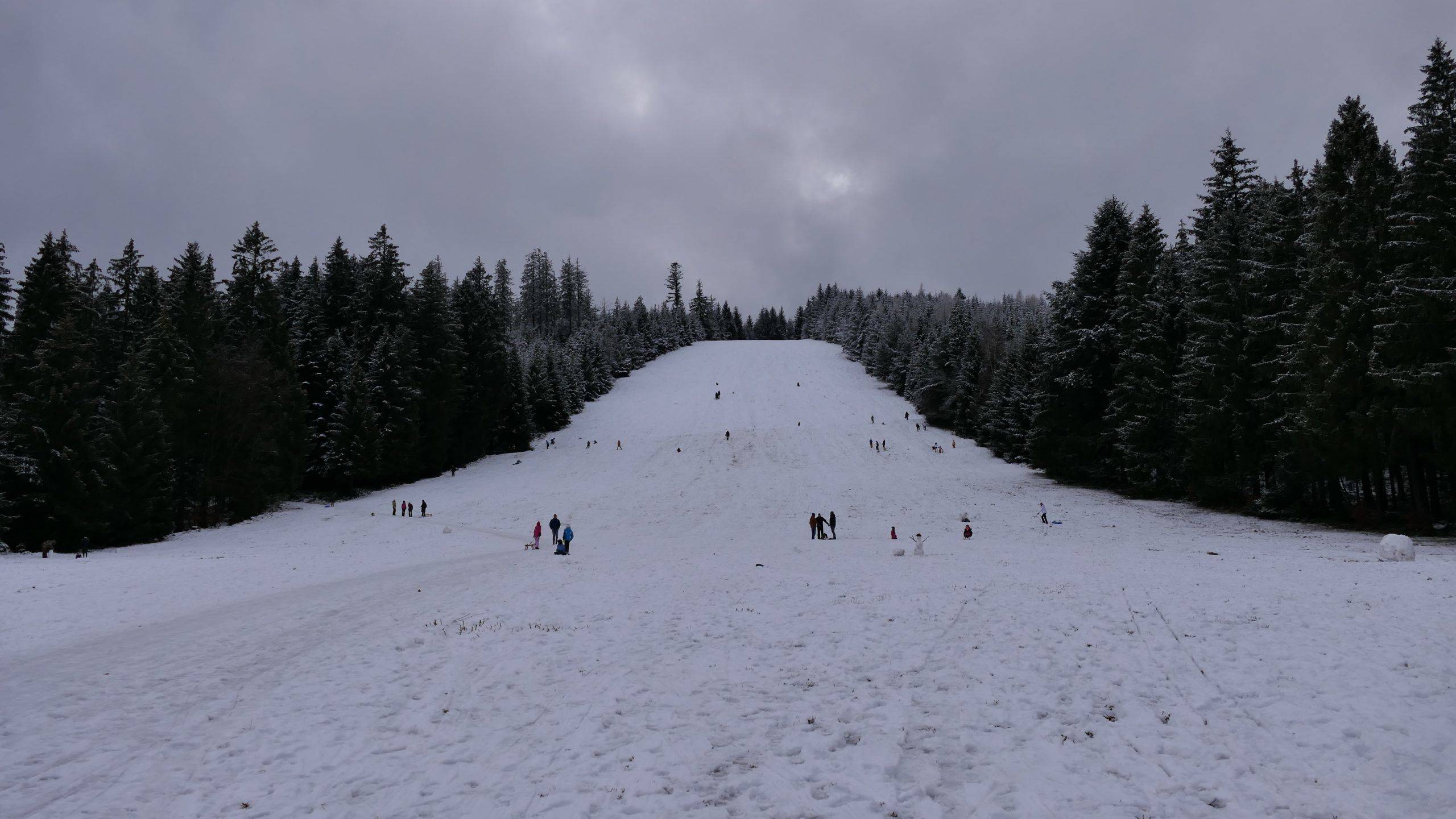Rodeln Murgtal Schwarzwald