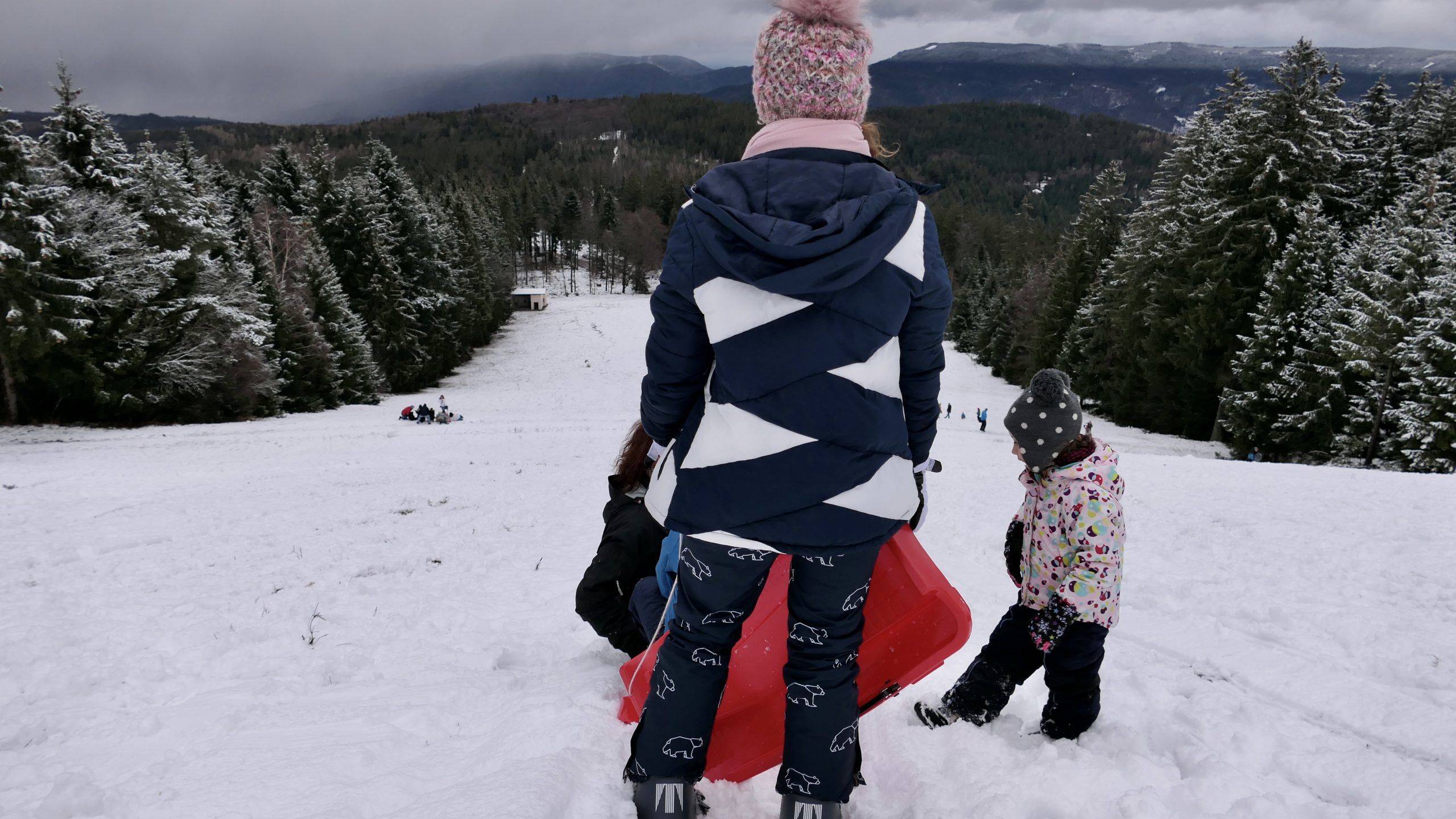 Rodeln Kinder Schwarzwald