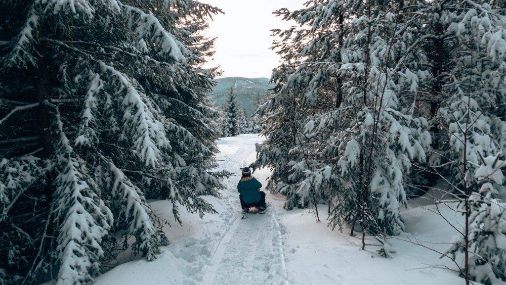 Rodeln Winter Herrenwies