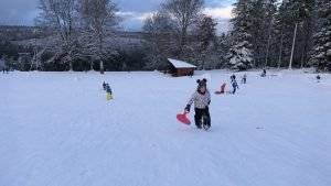 Rodeln Kinder Schwarzwald
