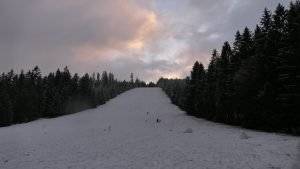 Rodeln Winter Schwarzwald