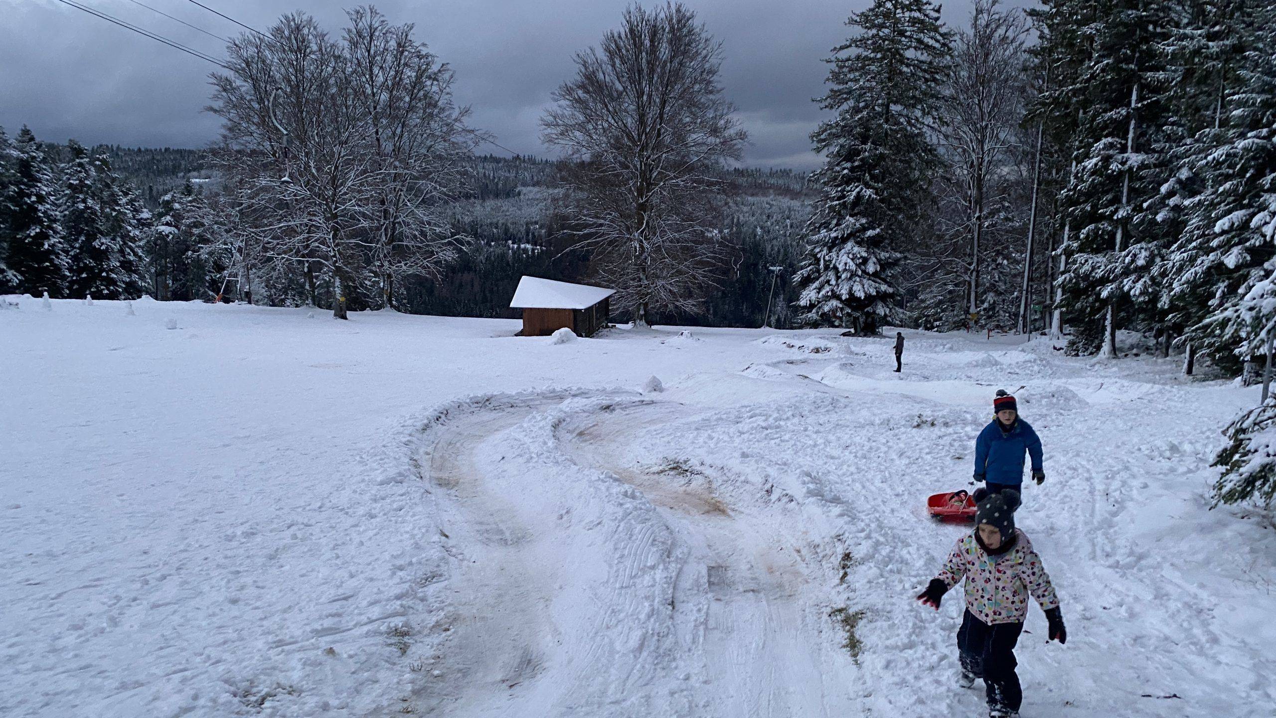 Schlittenfahren Kinder Schwarzwald