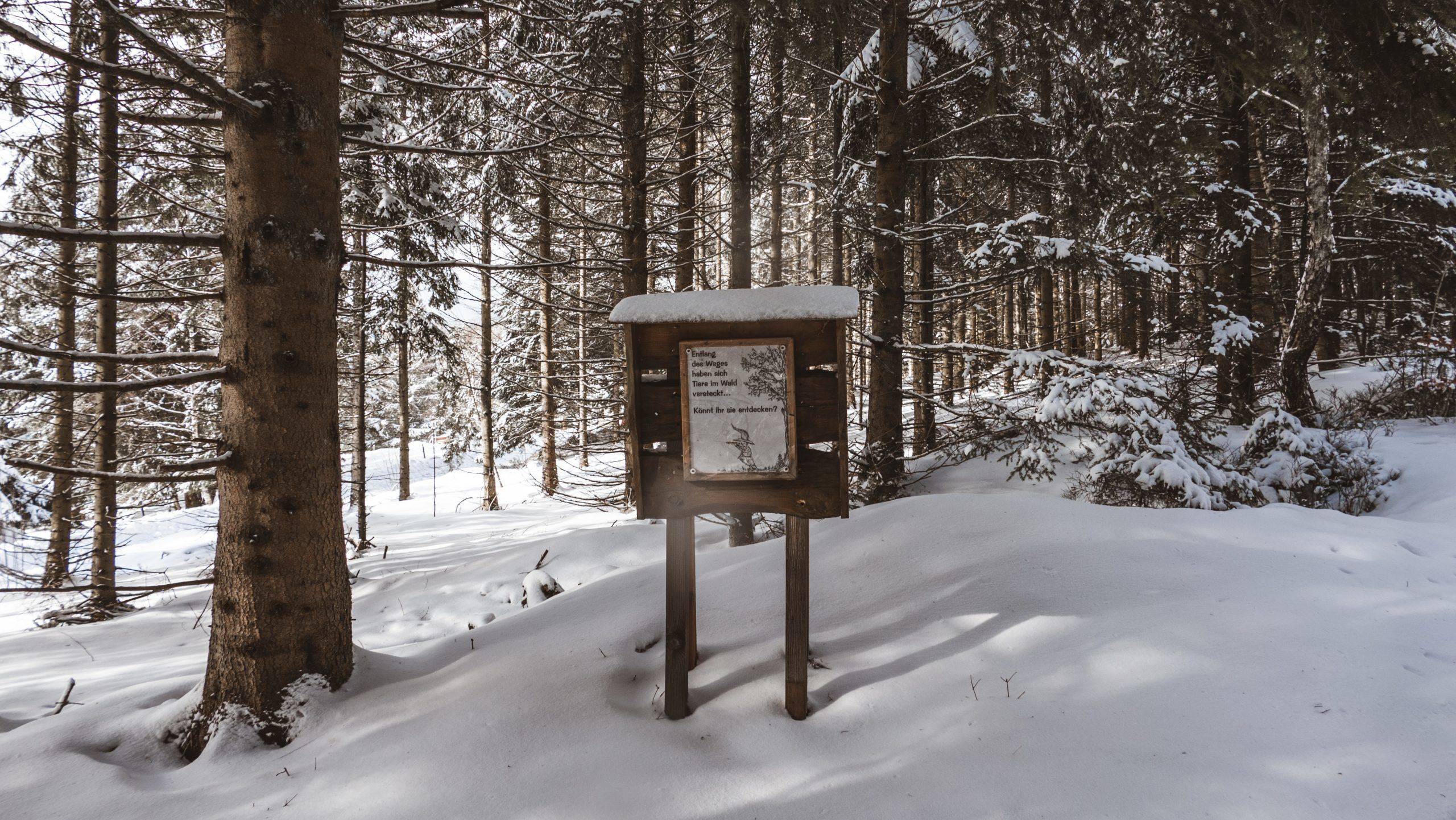 Walderlebnispfad Forbach Herrenwies