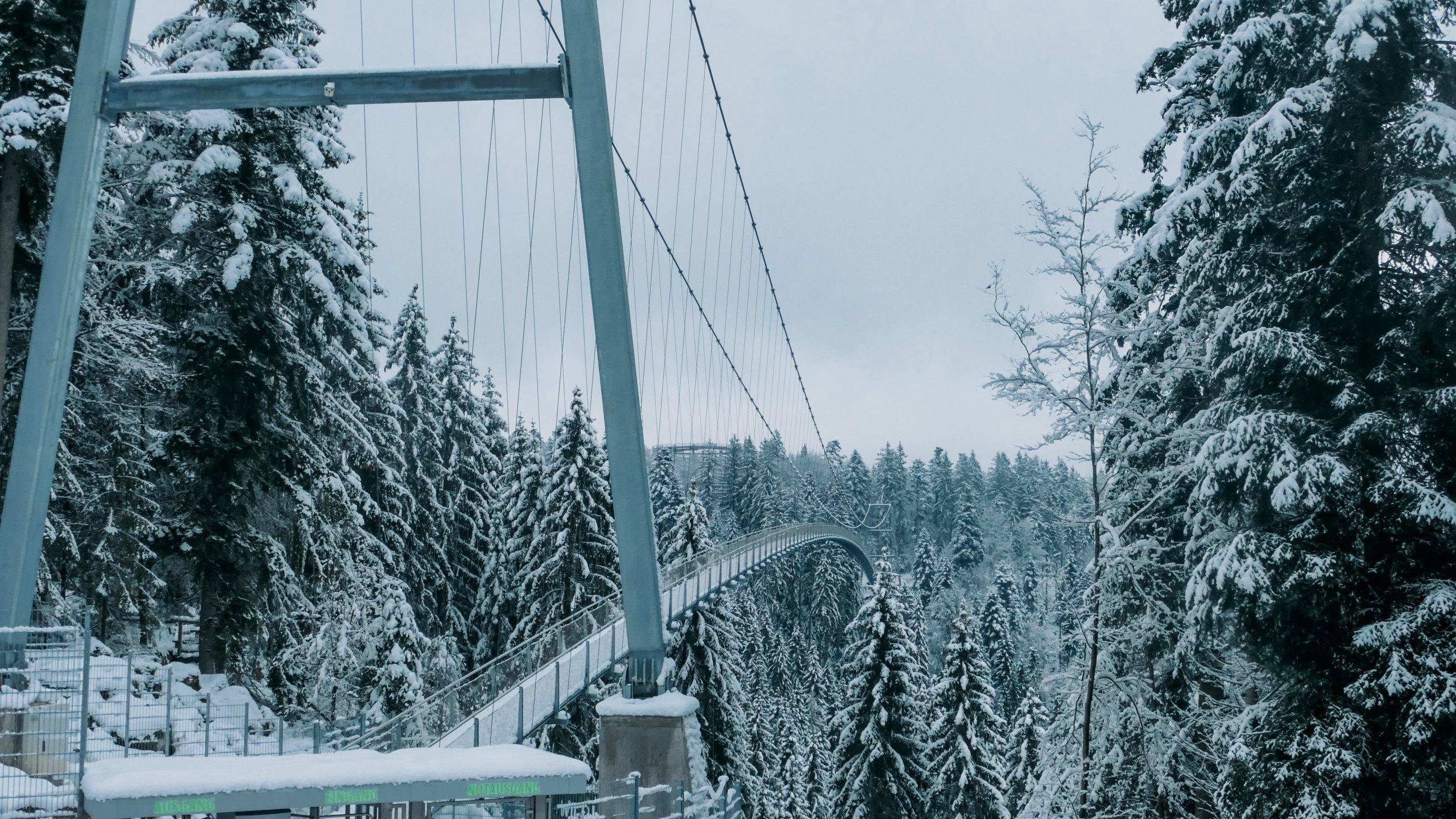 Hängebrücke Bad Wildbad