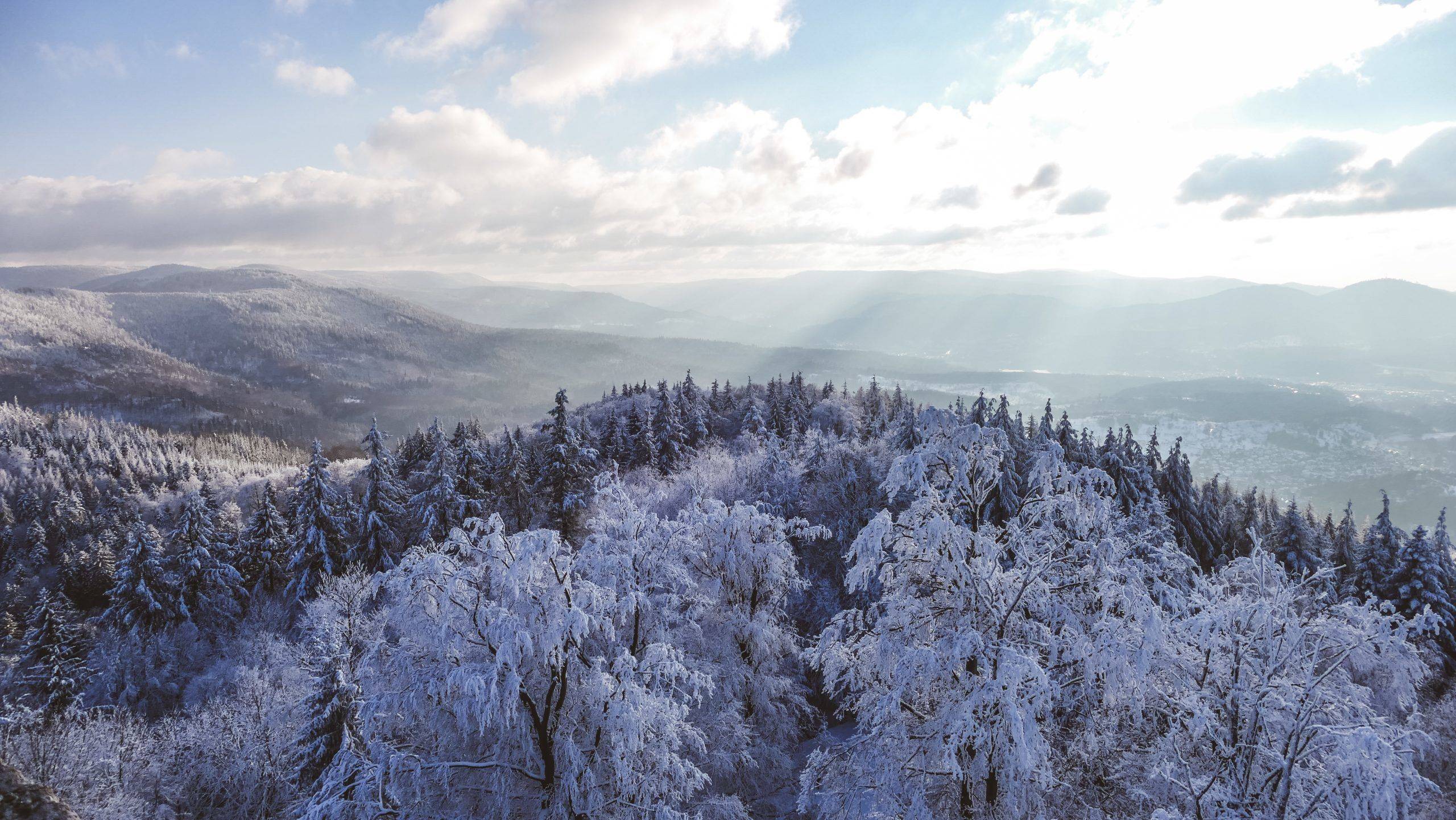 Mahlbergturm Ausblick Schwarzwald