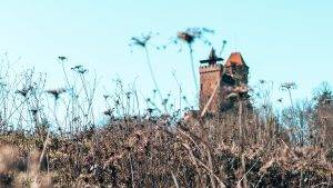 Burg Berwartstein Erlenbach