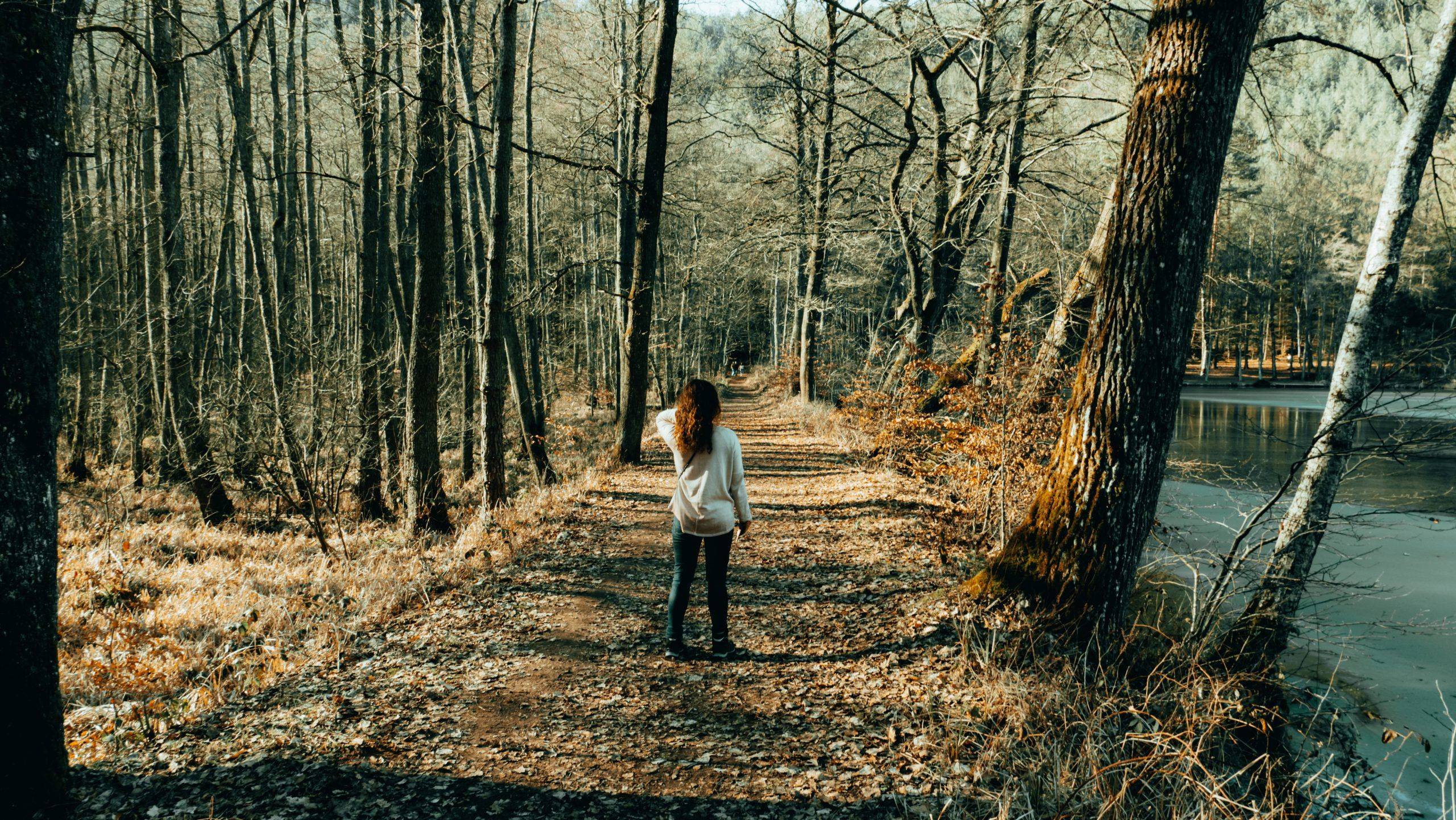Wandern Pfälzerwald